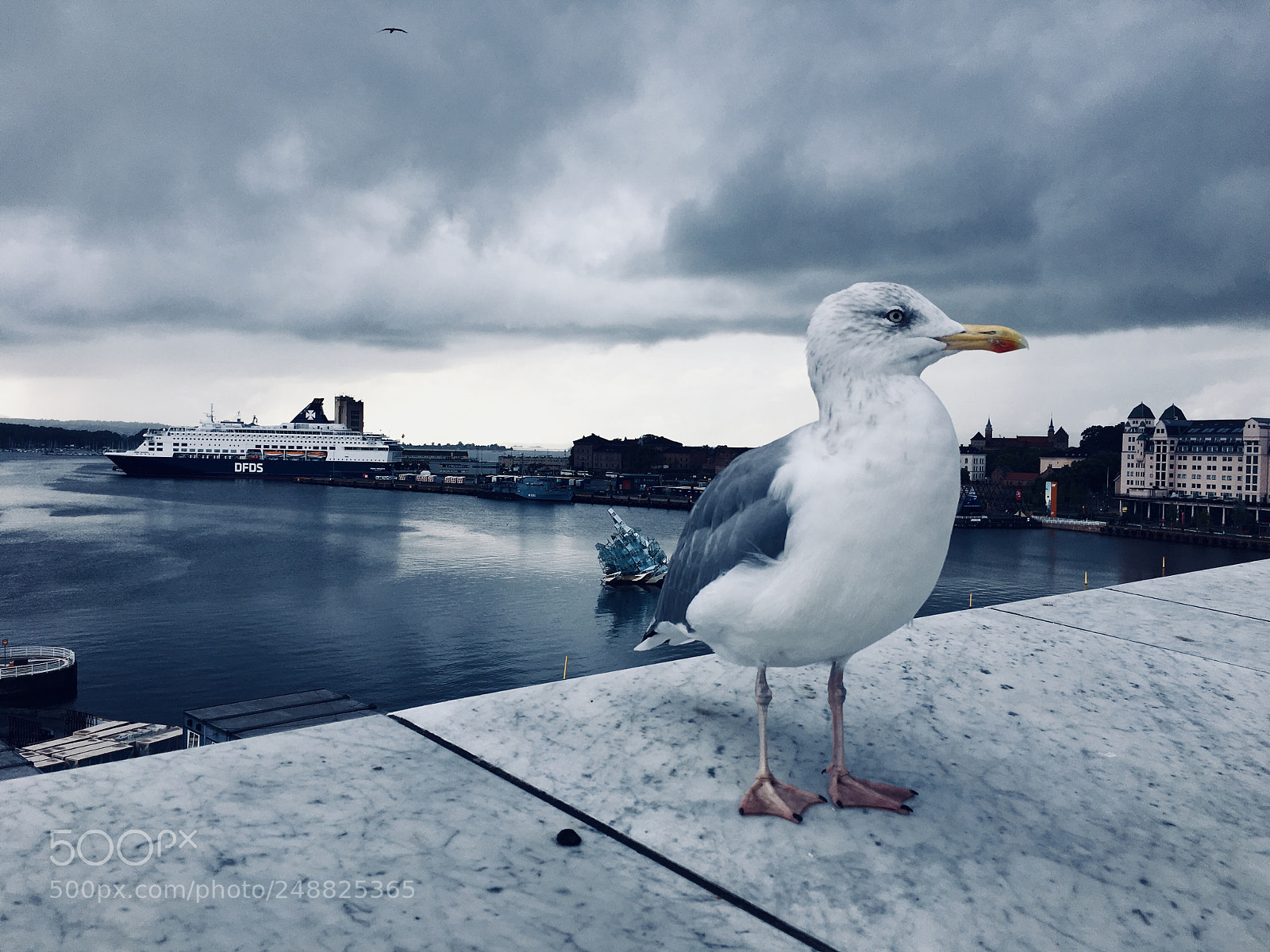 Apple iPhone 6s sample photo. Oslo - norway photography