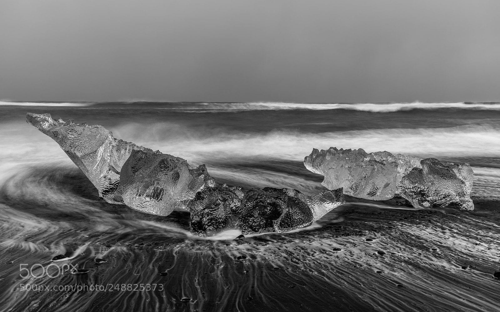 Nikon D850 sample photo. Ice alligator - iceland photography