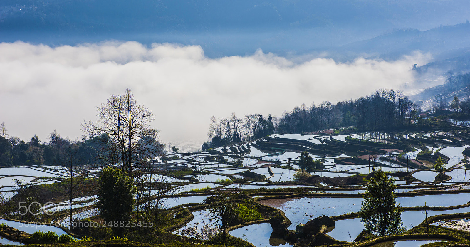 Nikon D810 sample photo. Yuanyang hani's terraced field photography