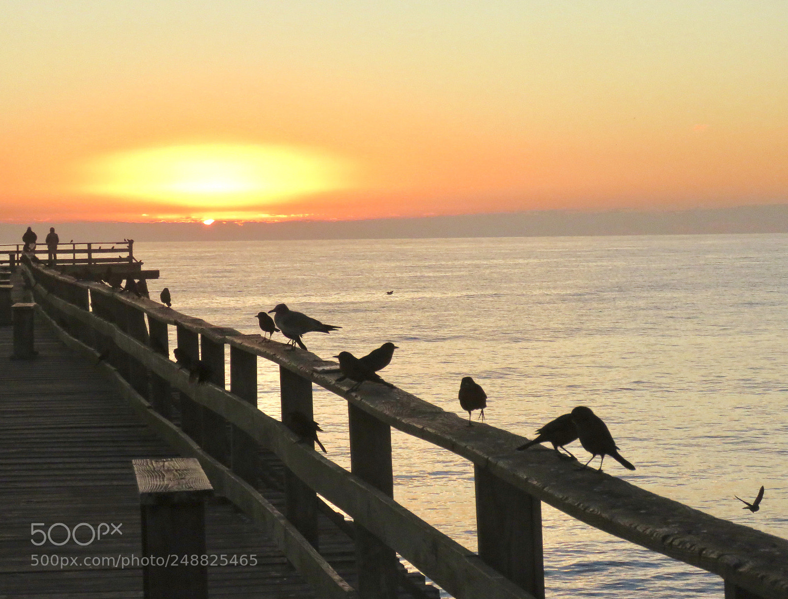 Canon PowerShot SX60 HS sample photo. Morning on the pier photography
