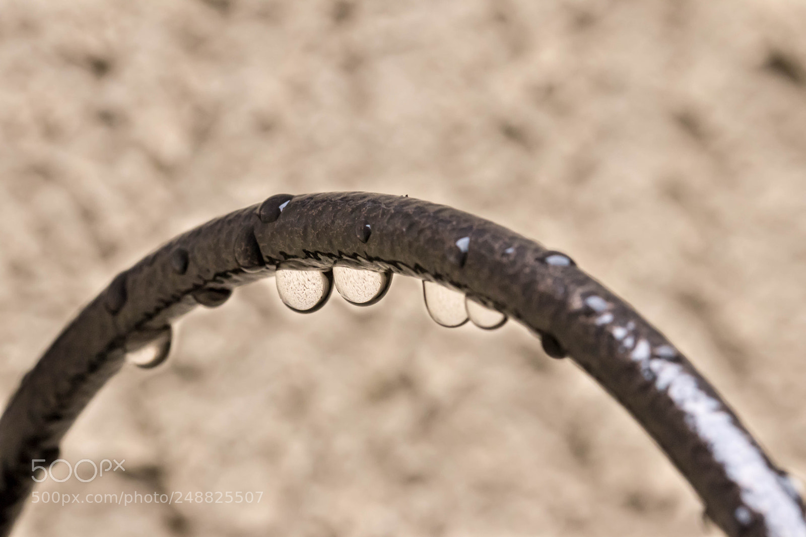 Canon EOS 80D sample photo. Raindrops on a bendy photography