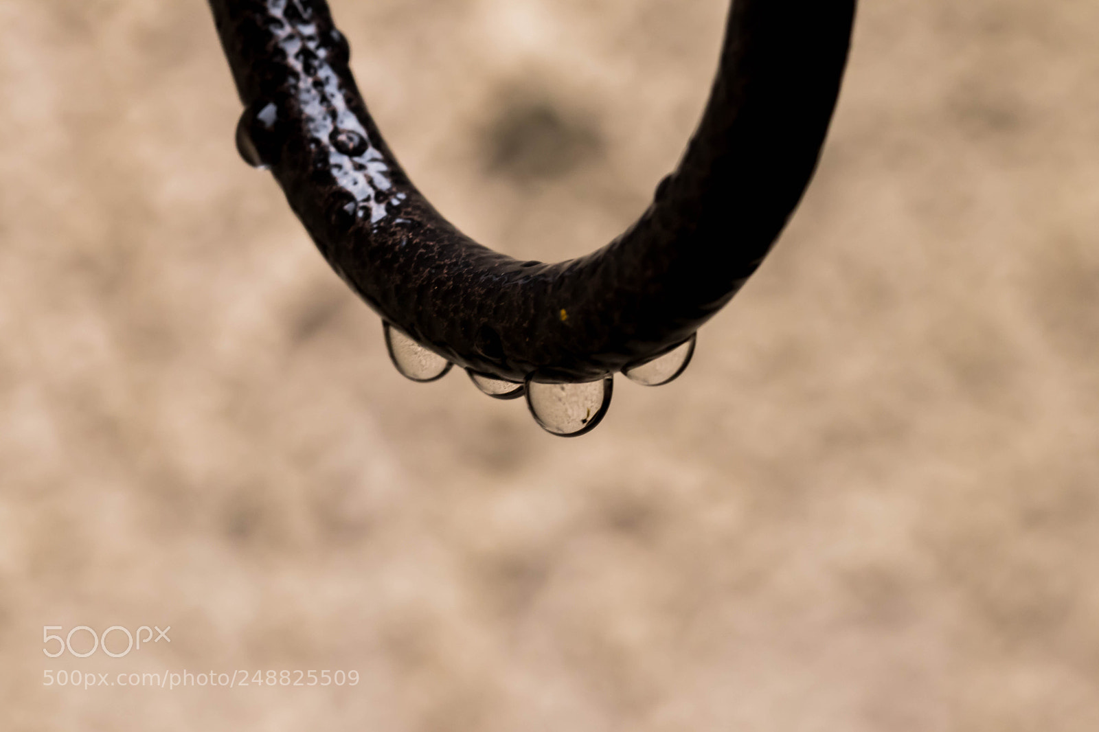 Canon EOS 80D sample photo. Raindrops photography