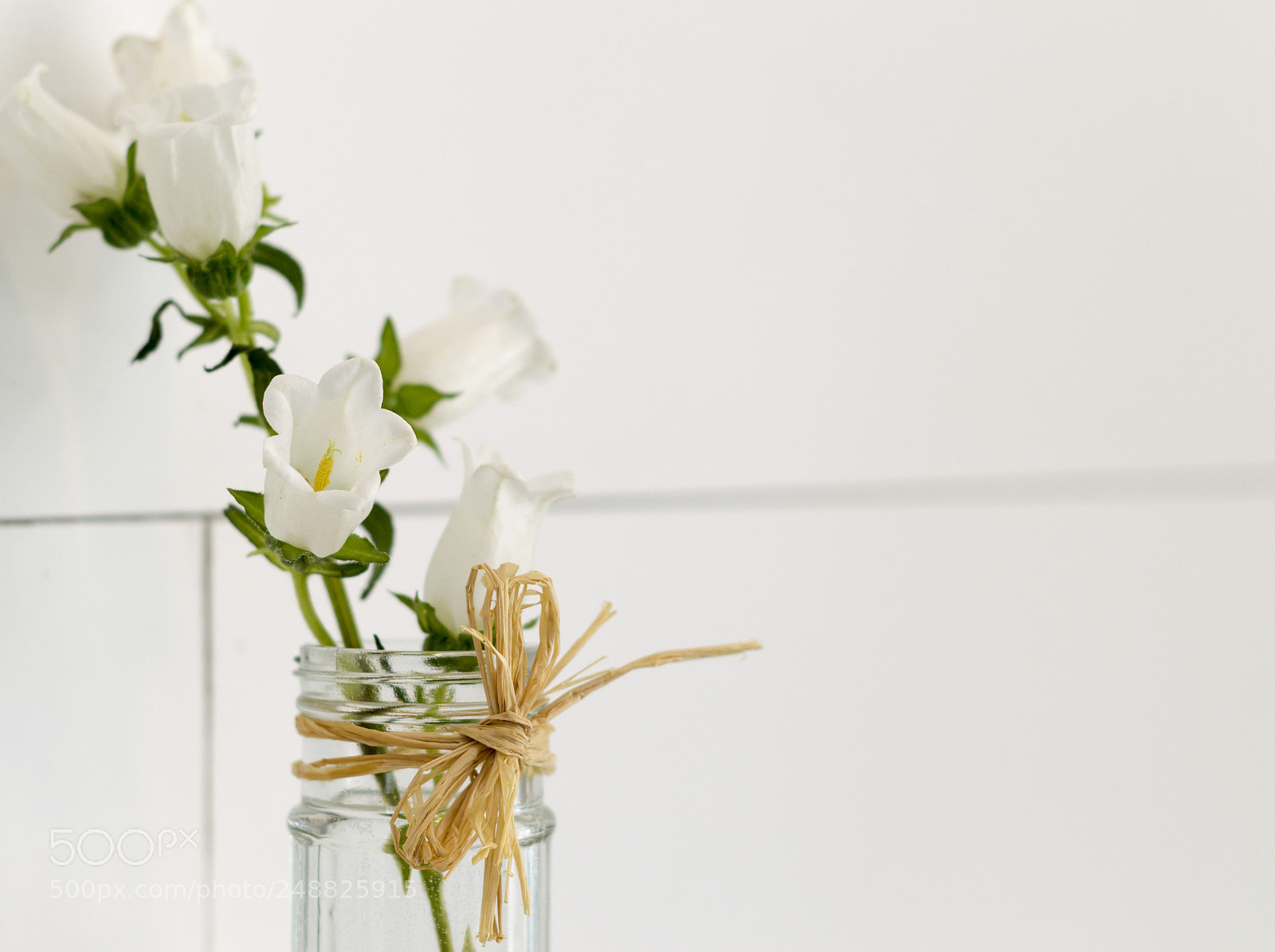 Nikon D3200 sample photo. White on white flowers photography