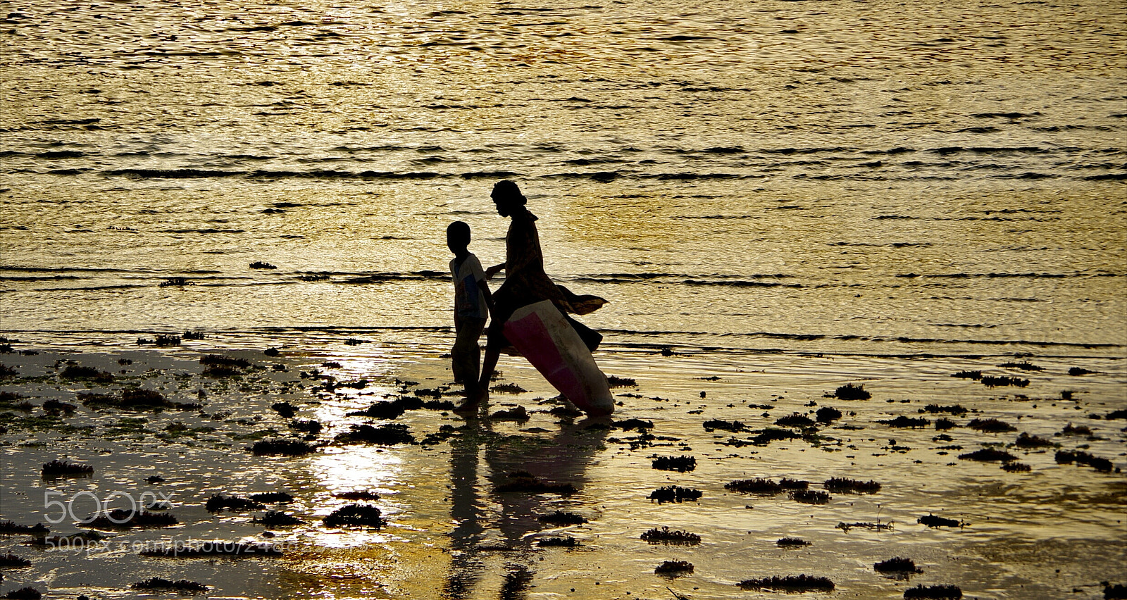 Pentax K-70 sample photo. Golden sunrise photography