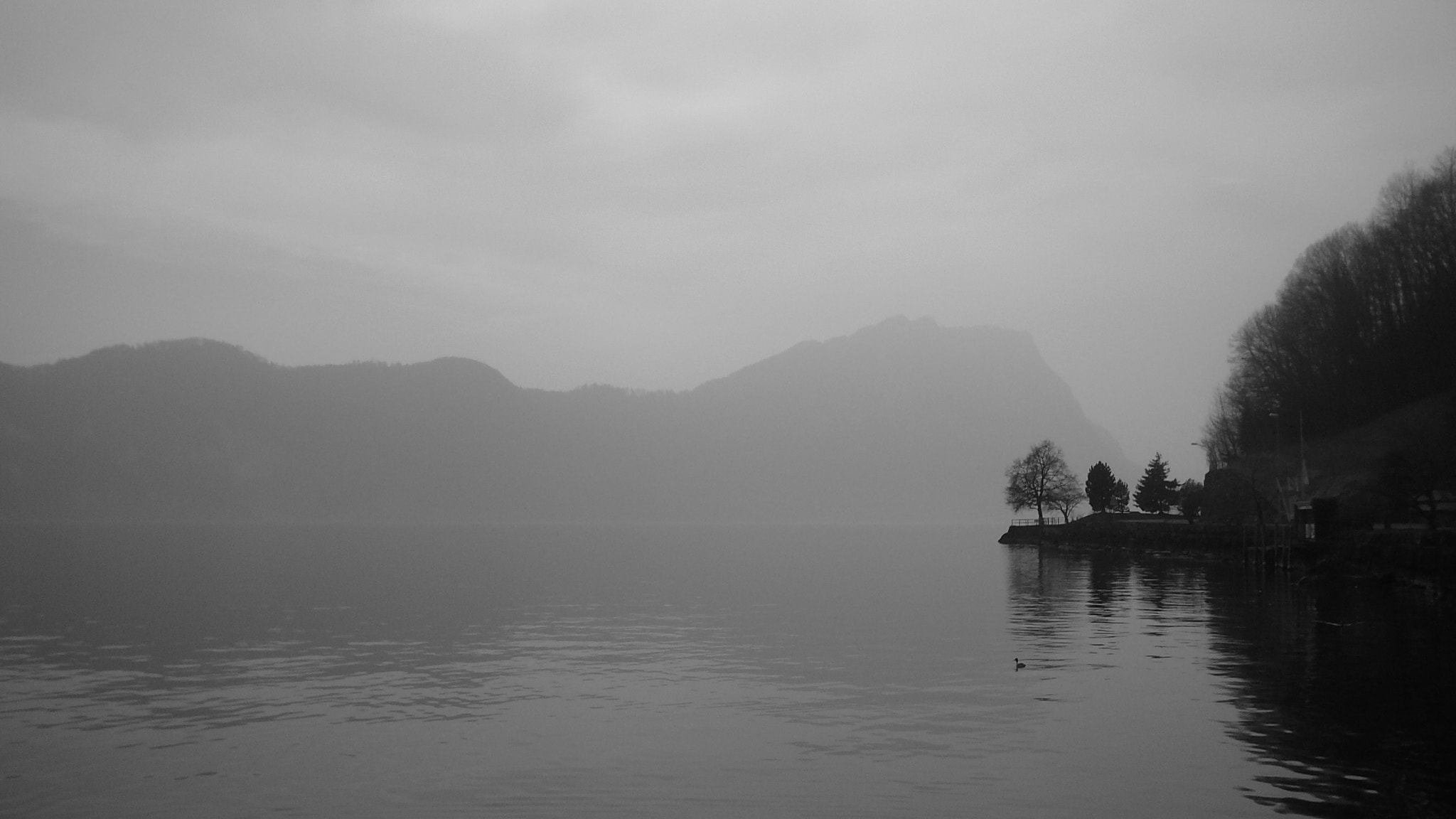 Leica C-LUX 1 sample photo. Lake lucerne photography