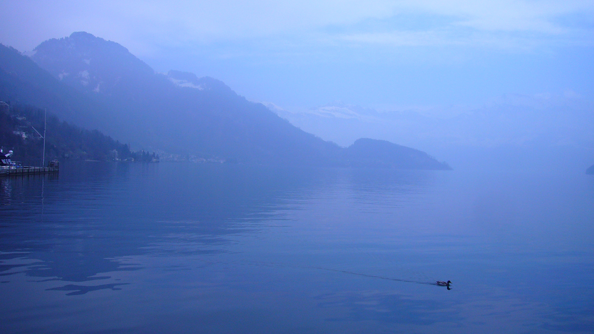 Leica C-LUX 1 sample photo. Lake lucerne photography