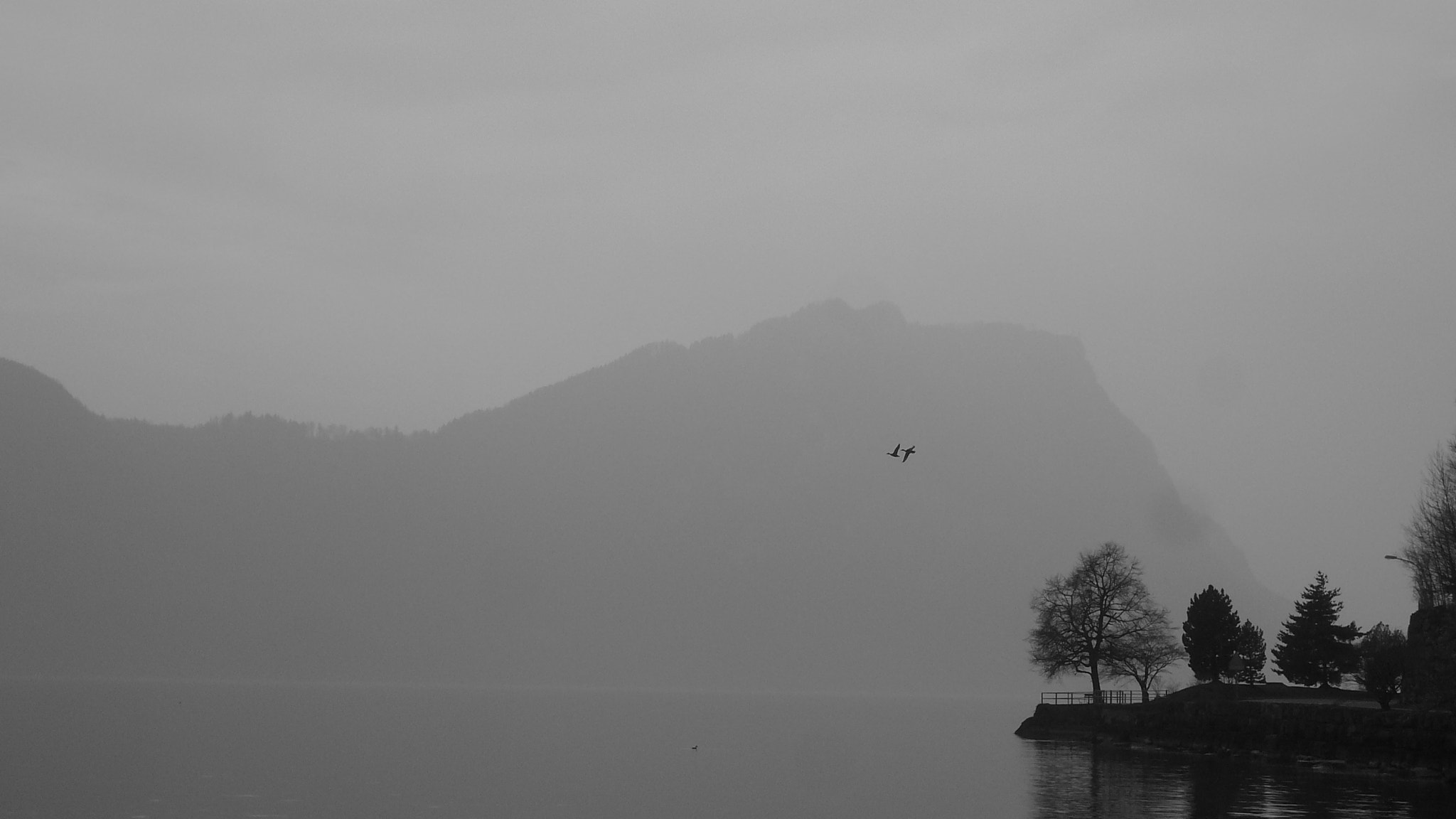 Leica C-LUX 1 sample photo. Lake lucerne photography