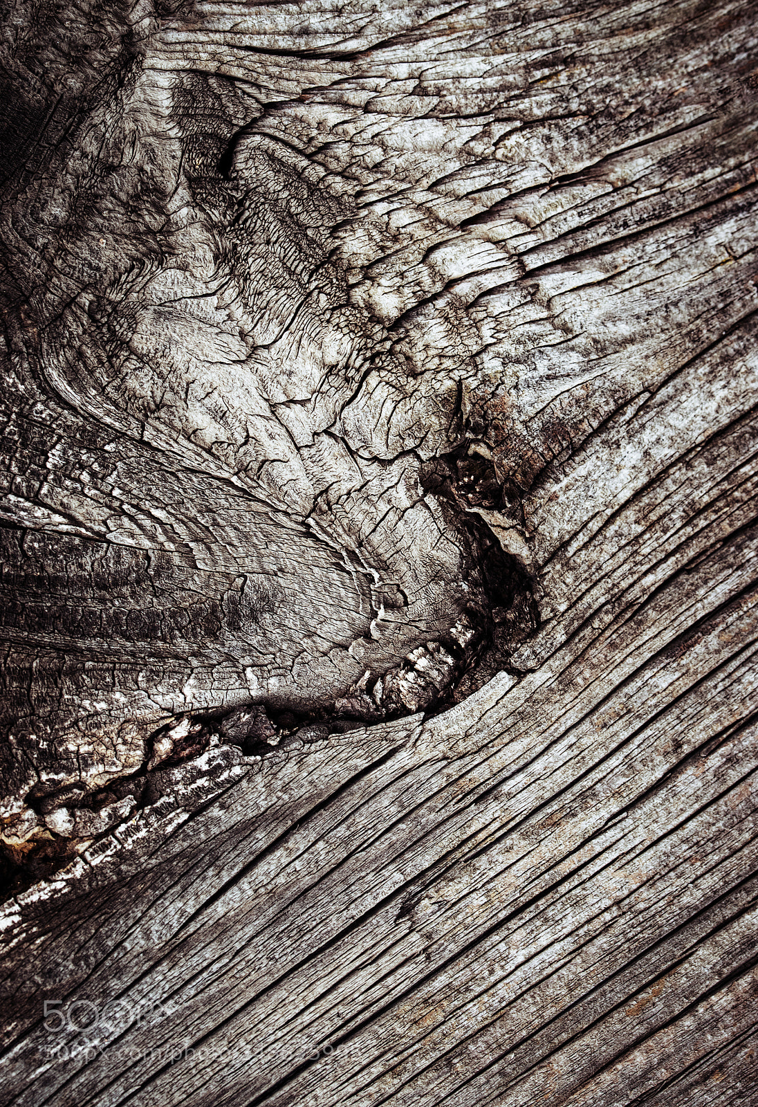 Nikon D5500 sample photo. Abstract detail of old photography