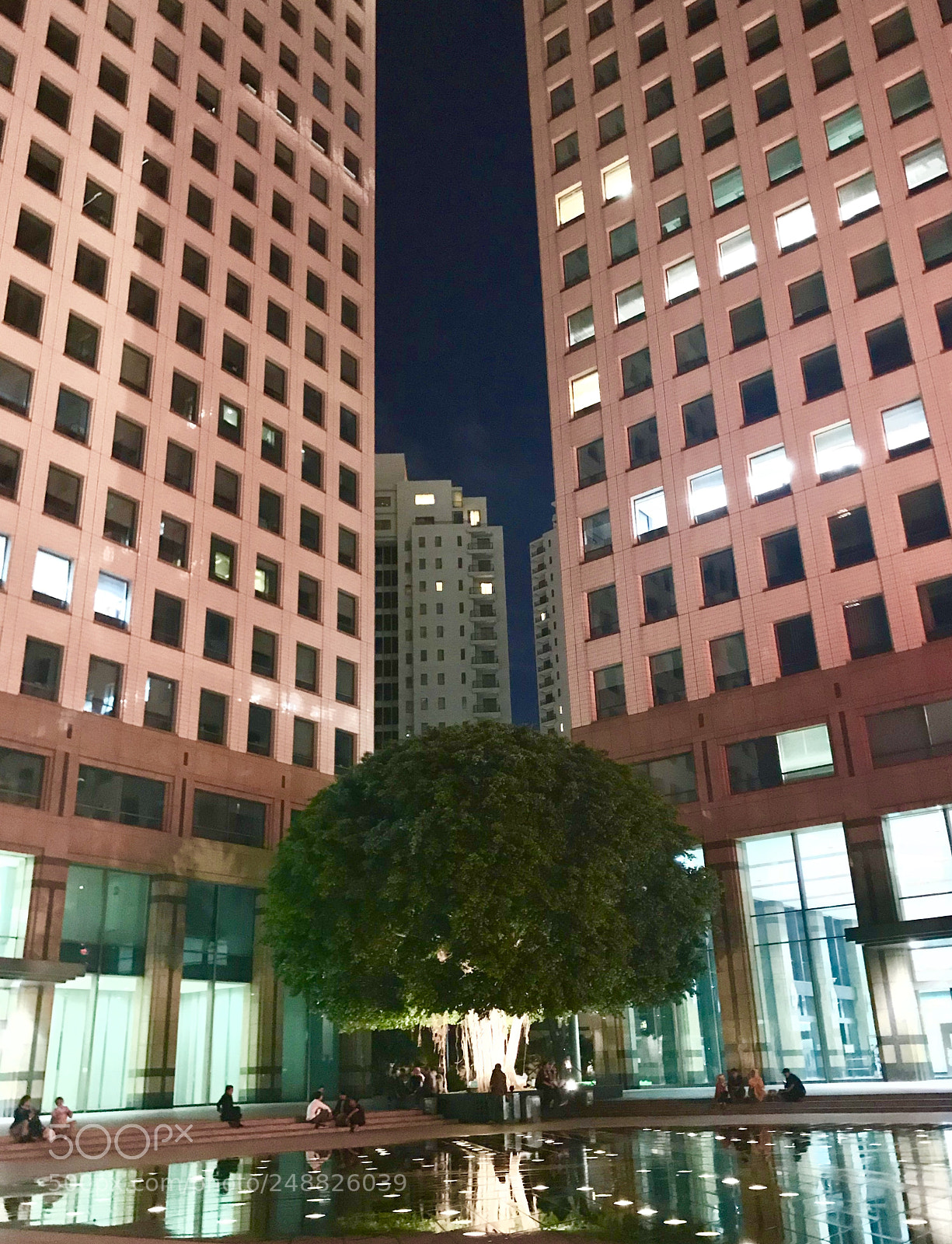 Apple iPhone 7 sample photo. Untitled photography