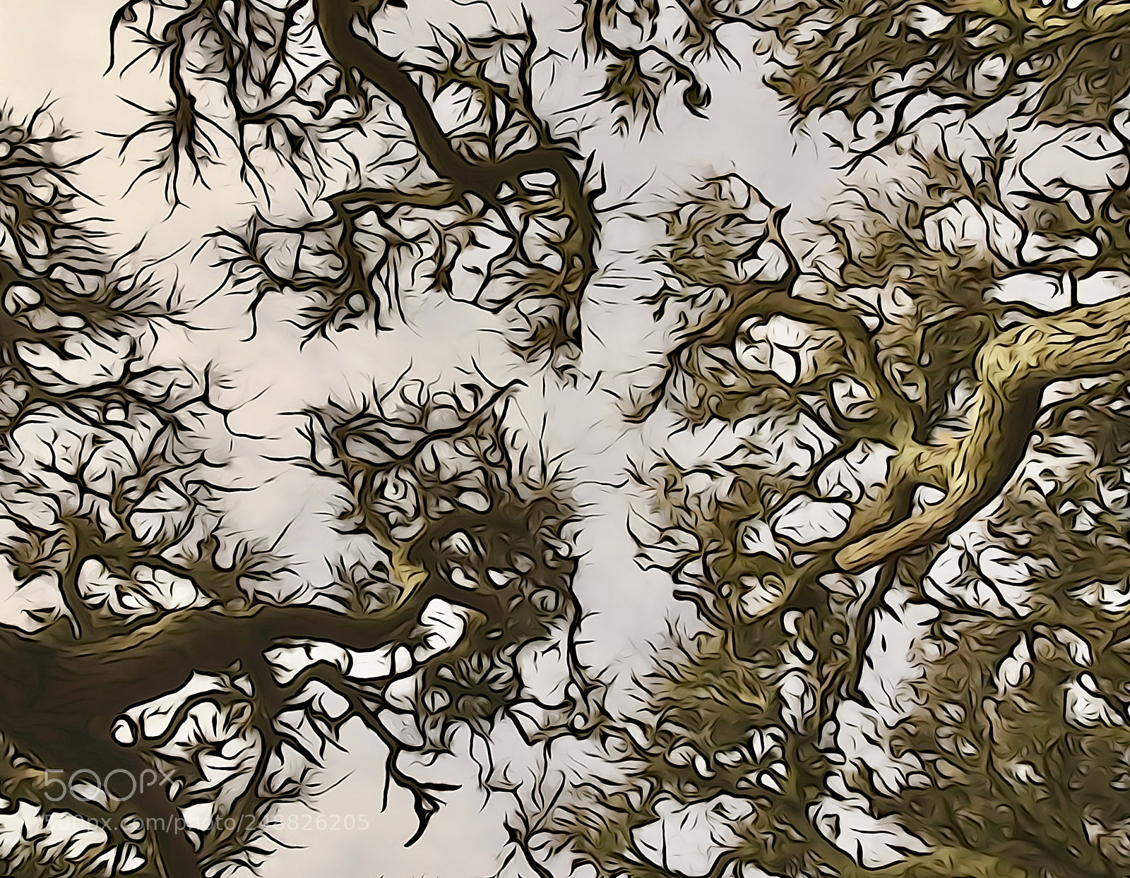 Sony Cyber-shot DSC-HX90V sample photo. Dance of the branches photography