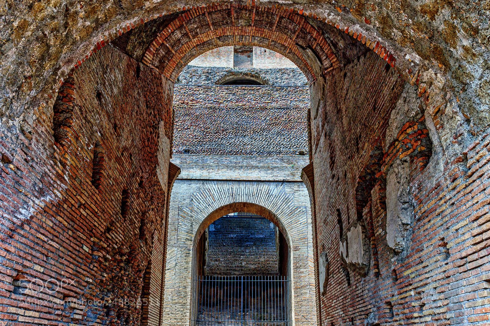 Nikon D4S sample photo. Colosseum rome ! photography