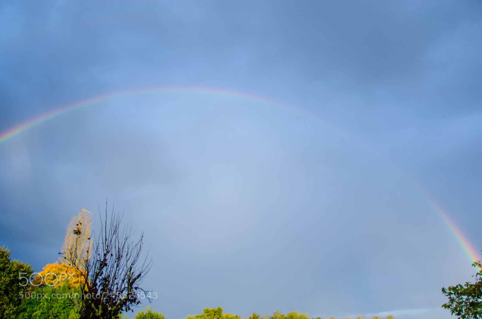 Nikon D5100 sample photo. Arc photography