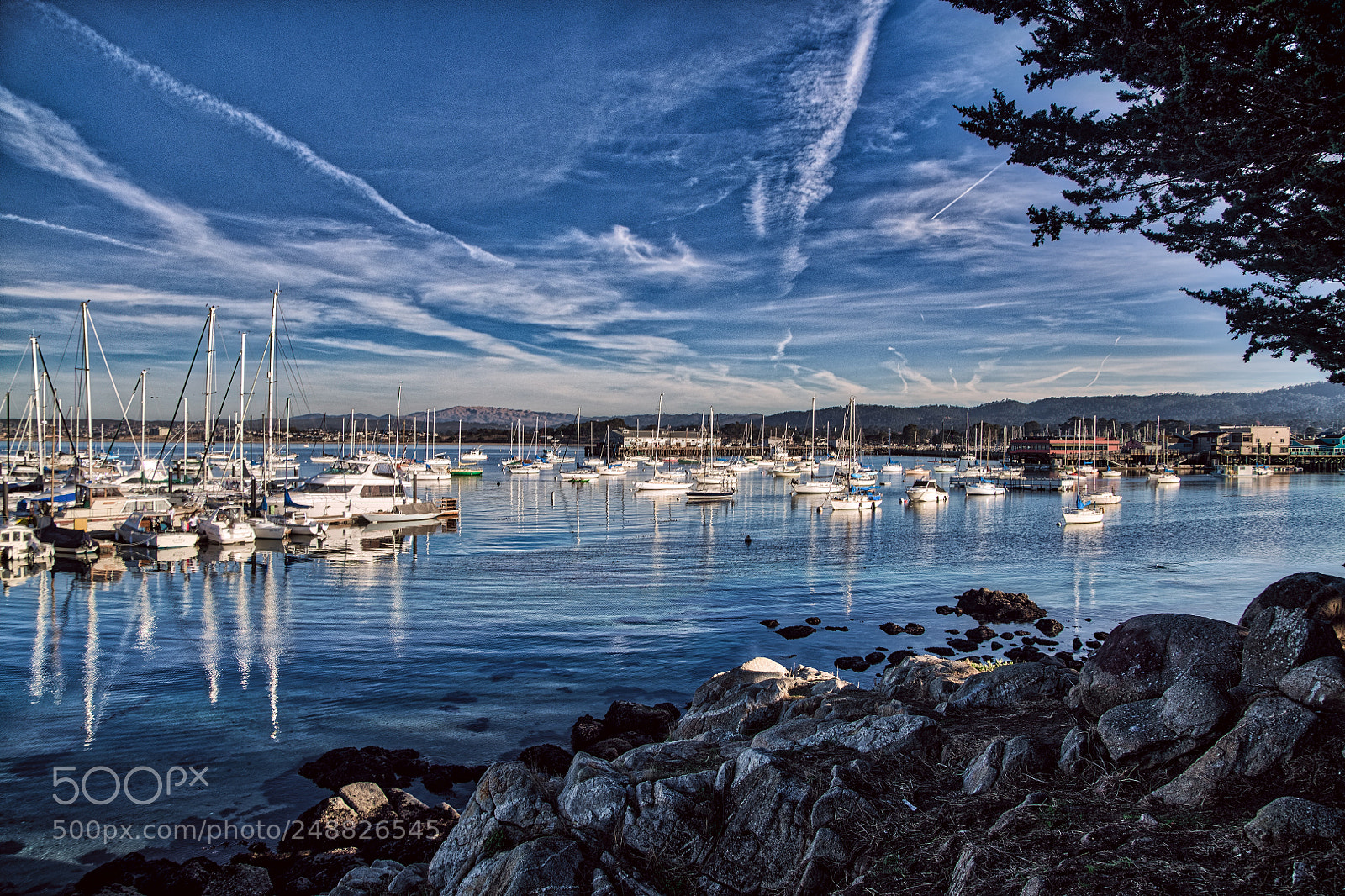 Nikon D850 sample photo. Fisherman's wharf  marina monterey photography