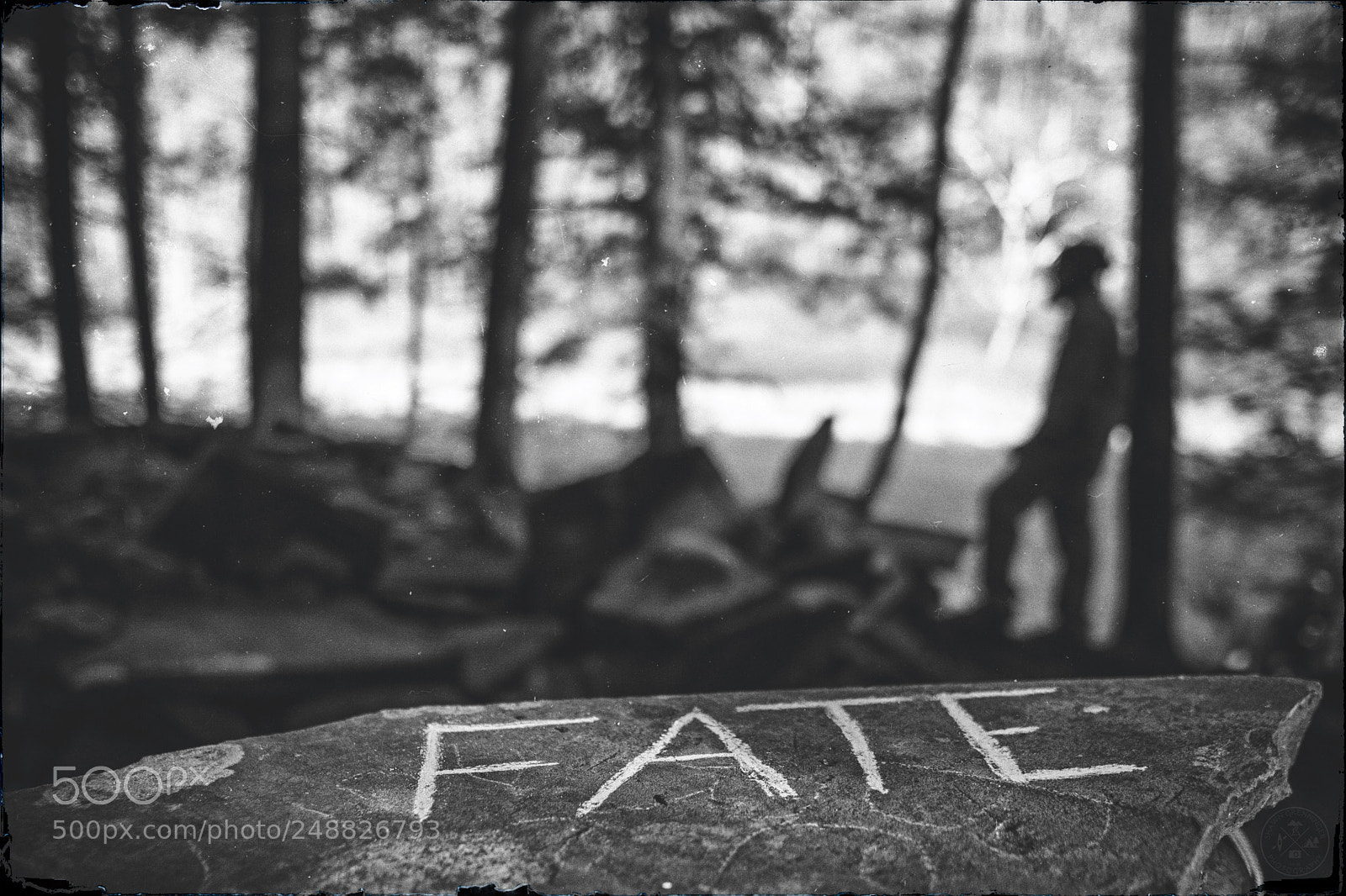 Sony a6000 sample photo. Fate photography
