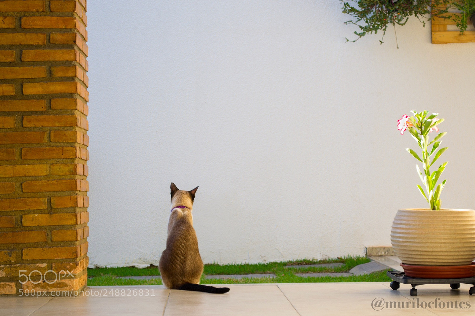 Nikon D3100 sample photo. Untitled photography