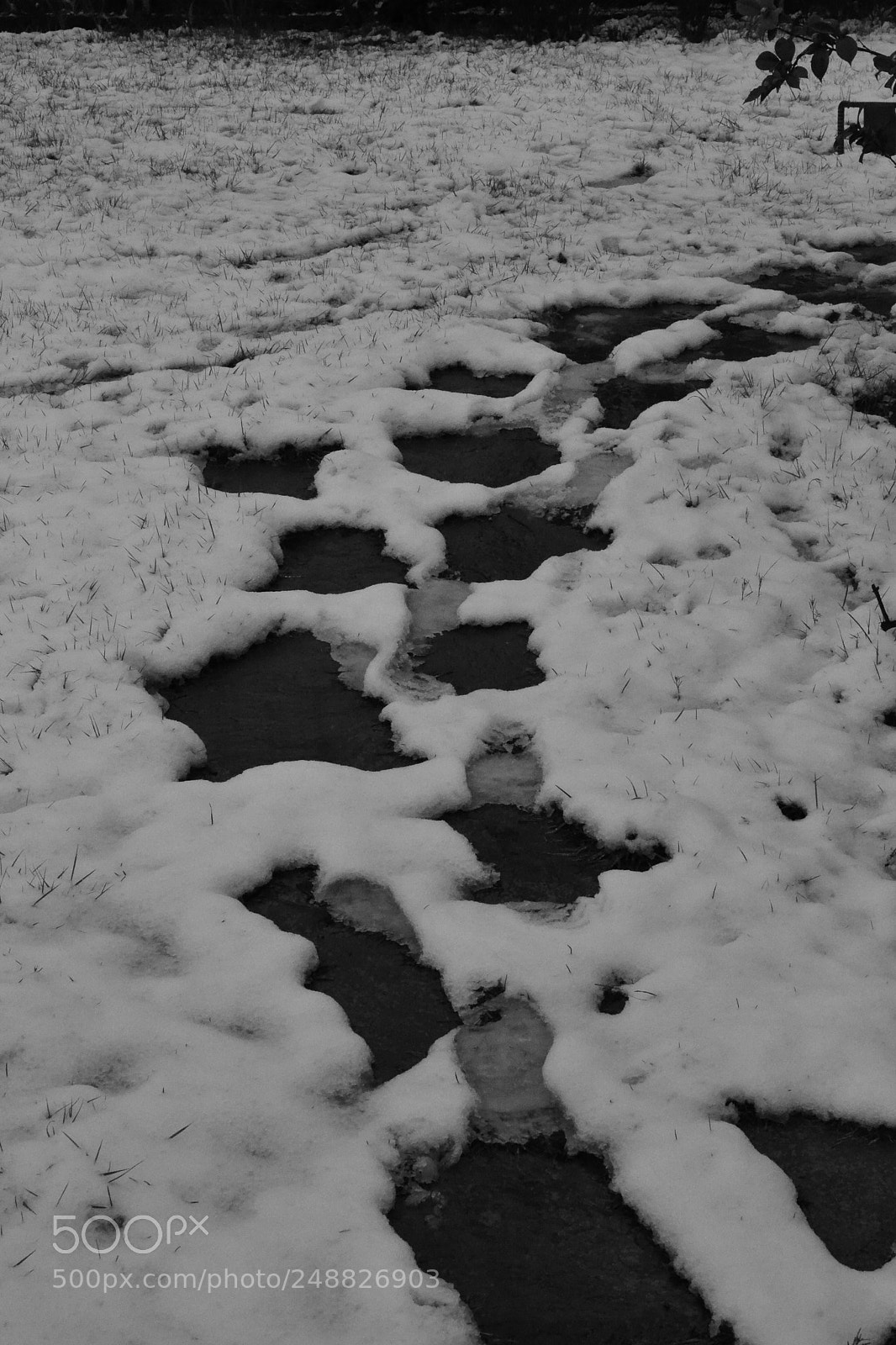 Nikon D3100 sample photo. Sentiero photography