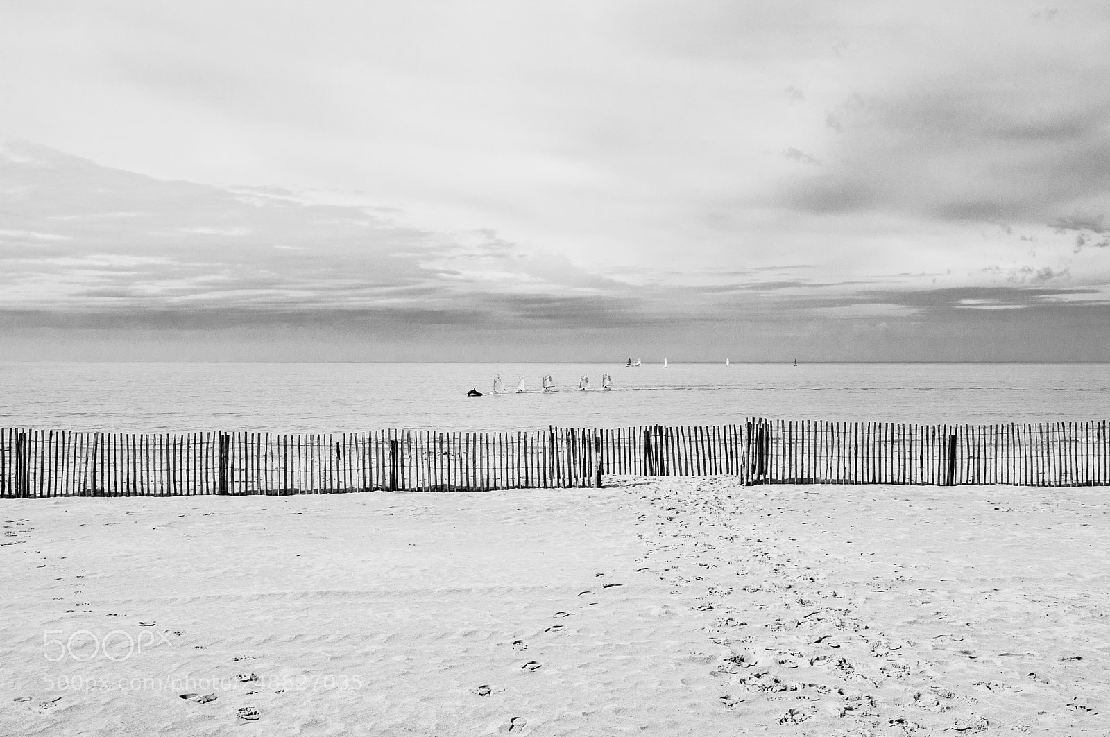 Nikon D300S sample photo. Les optimistes sont de photography