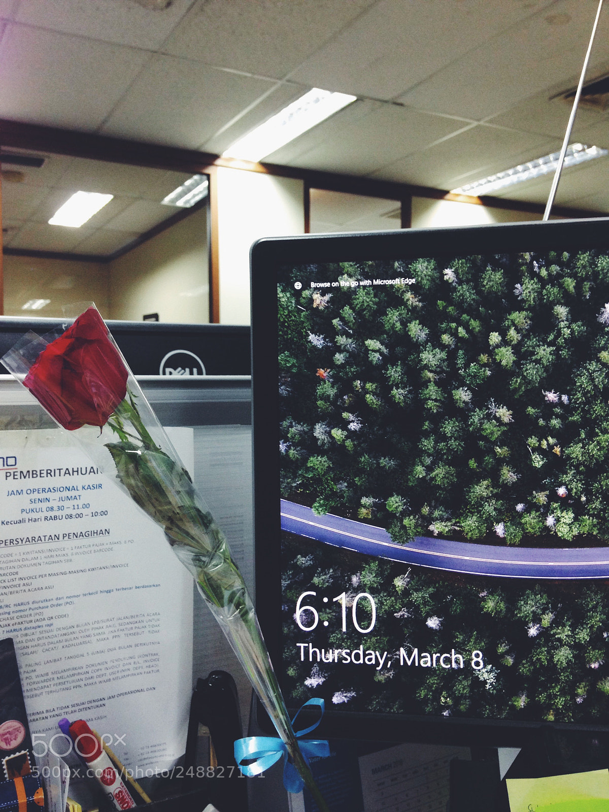 Apple iPhone 5c sample photo. Blooming on my desk photography