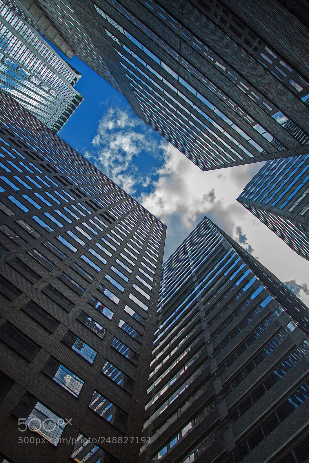 Canon EOS 50D sample photo. Vertical horizon - 4 photography