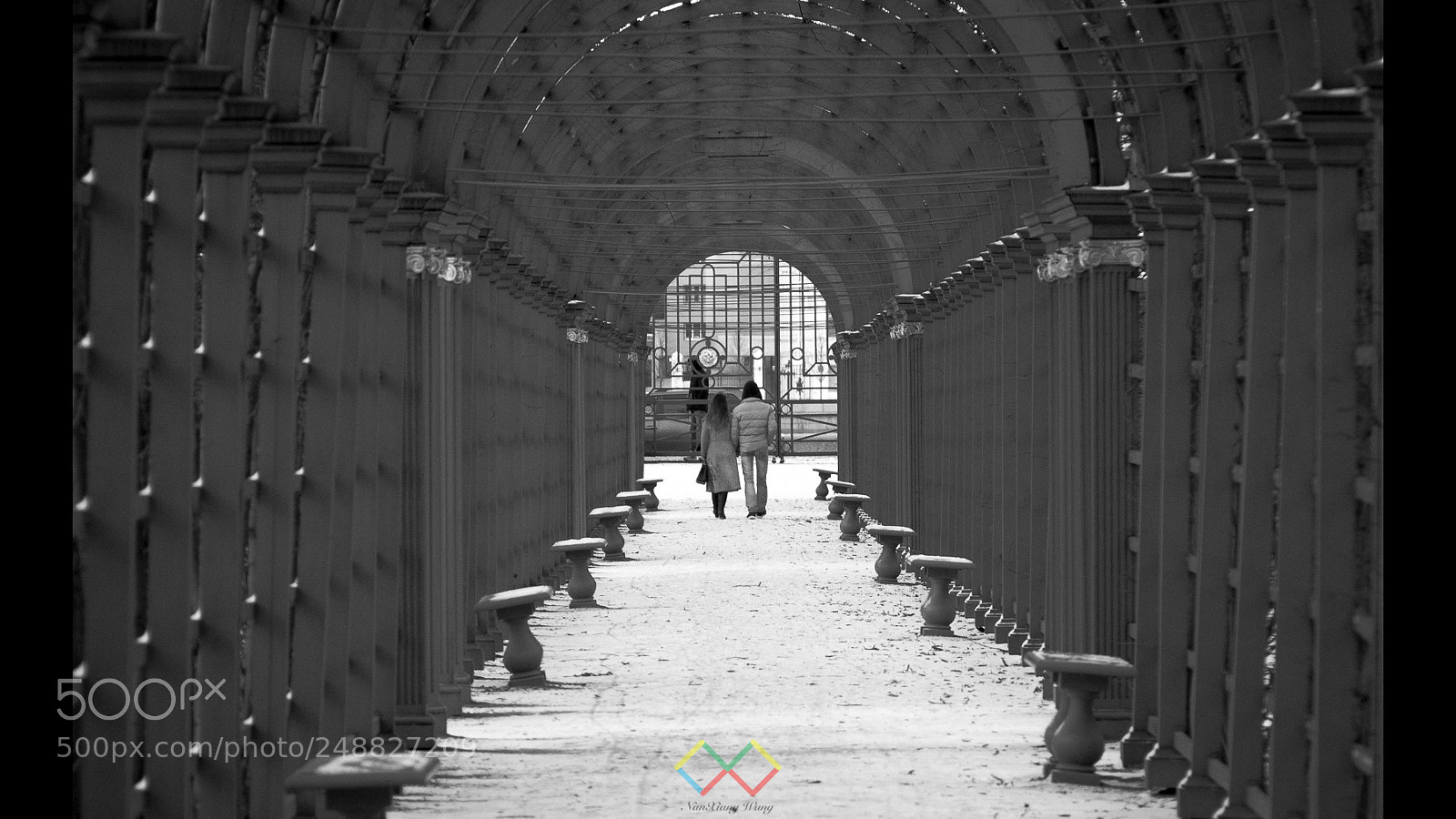 Canon EOS 80D sample photo. Copyright nanxiang wang photography