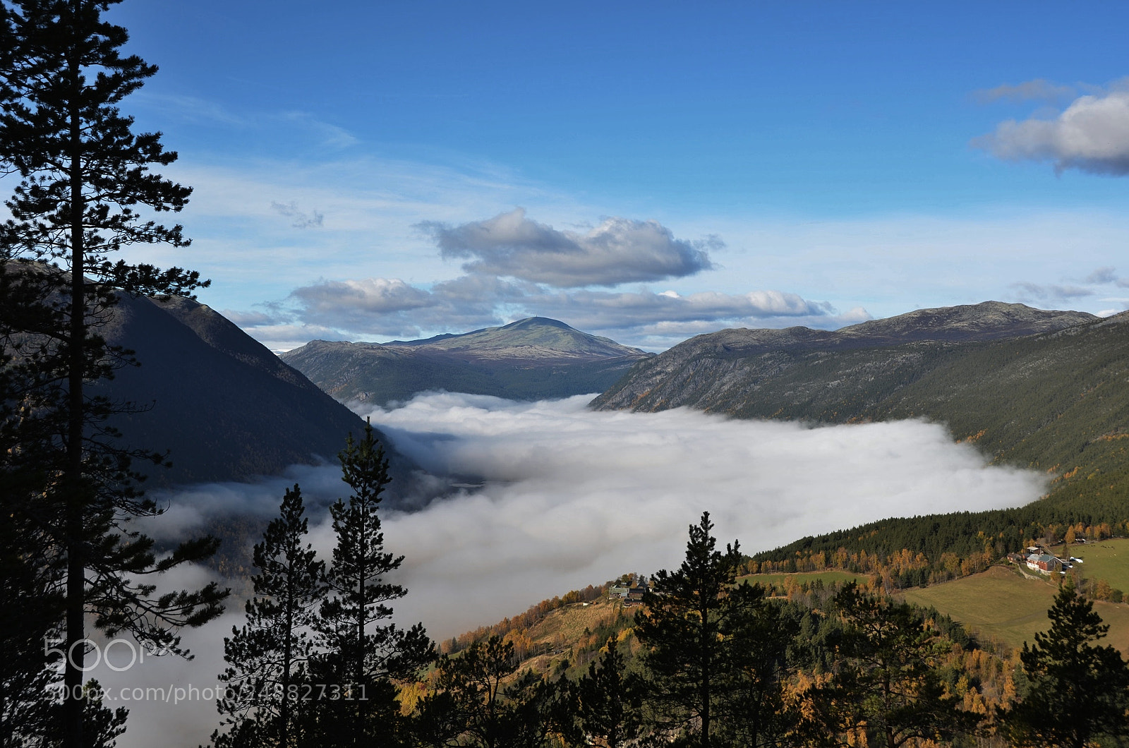 Nikon D7000 sample photo. River of fog photography