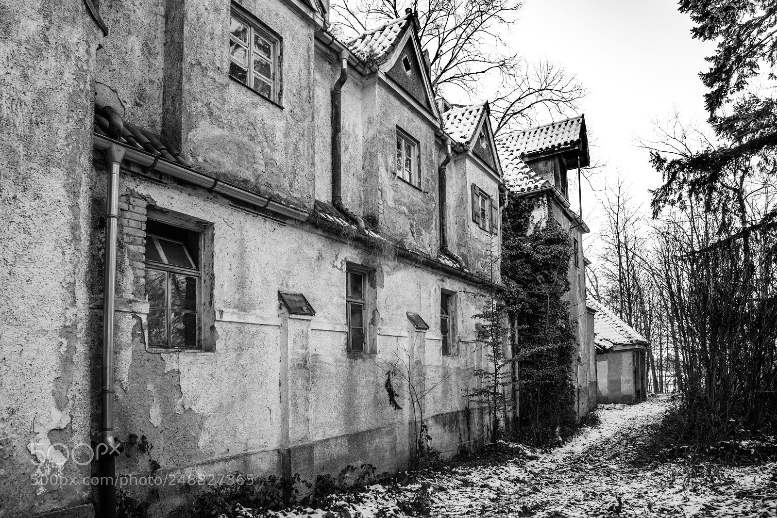 Nikon D800 sample photo. Lost home photography