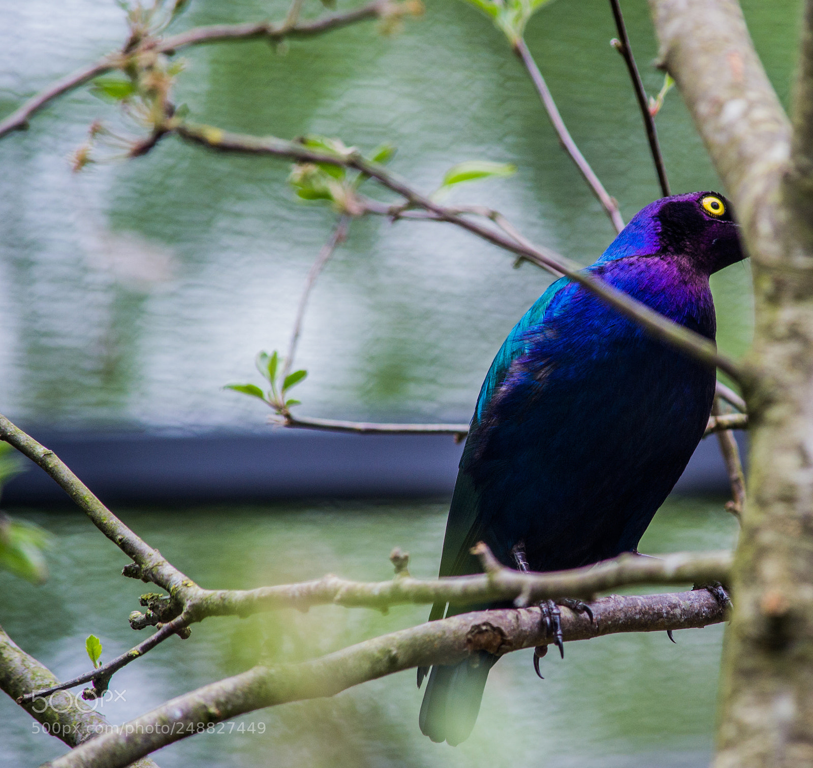 Nikon D3100 sample photo. Parc de clères photography