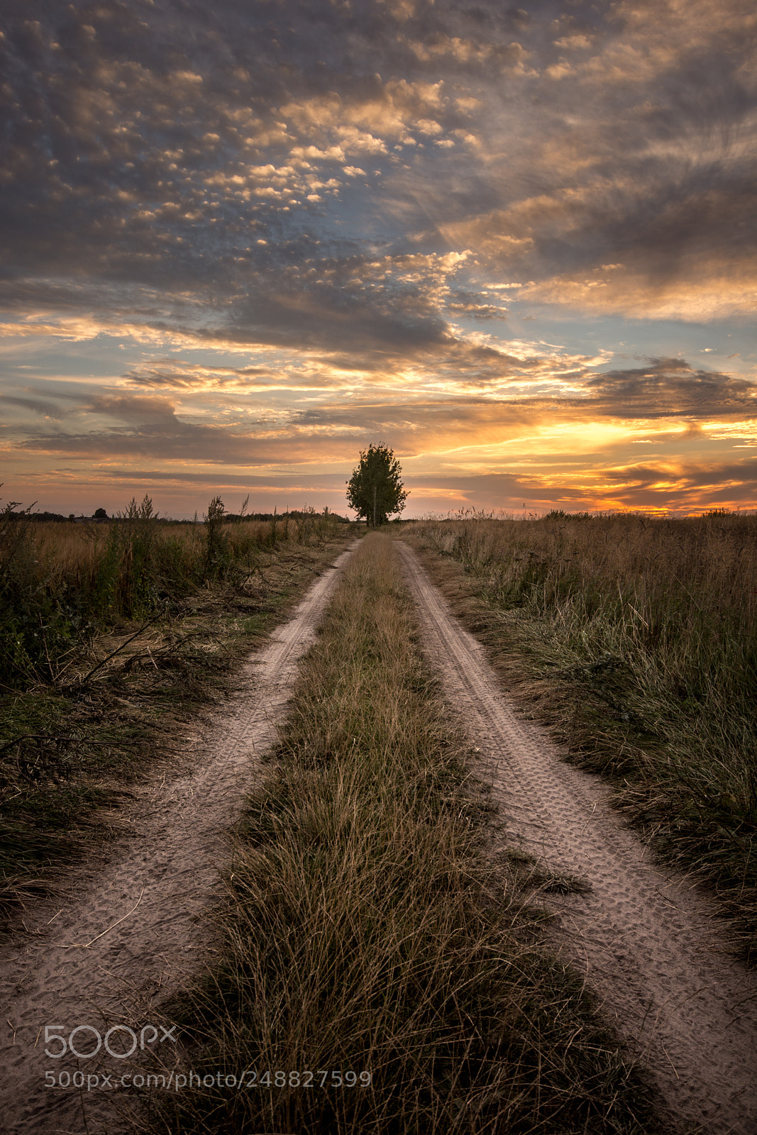 Nikon D7100 sample photo. Road photography