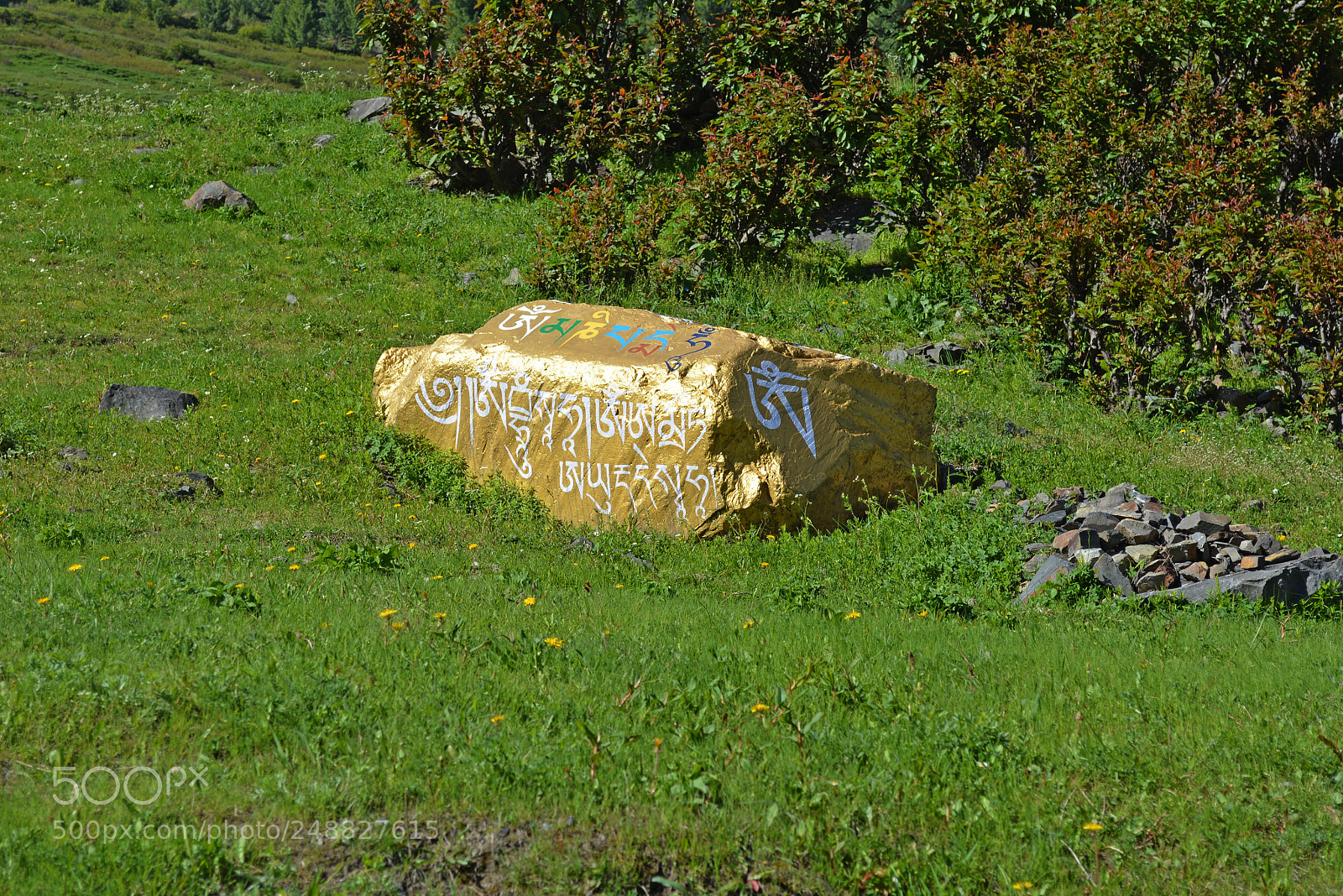 Nikon D5200 sample photo. Dsc photography