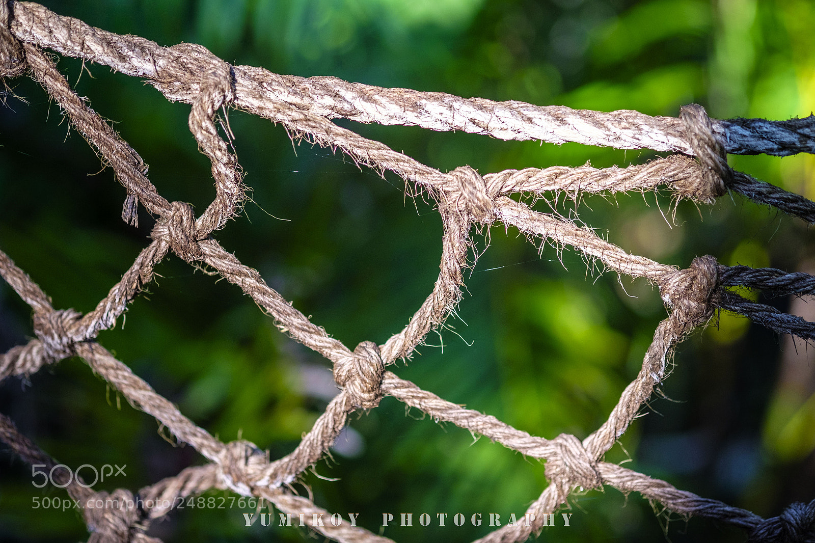Fujifilm X-T1 sample photo. 结 photography