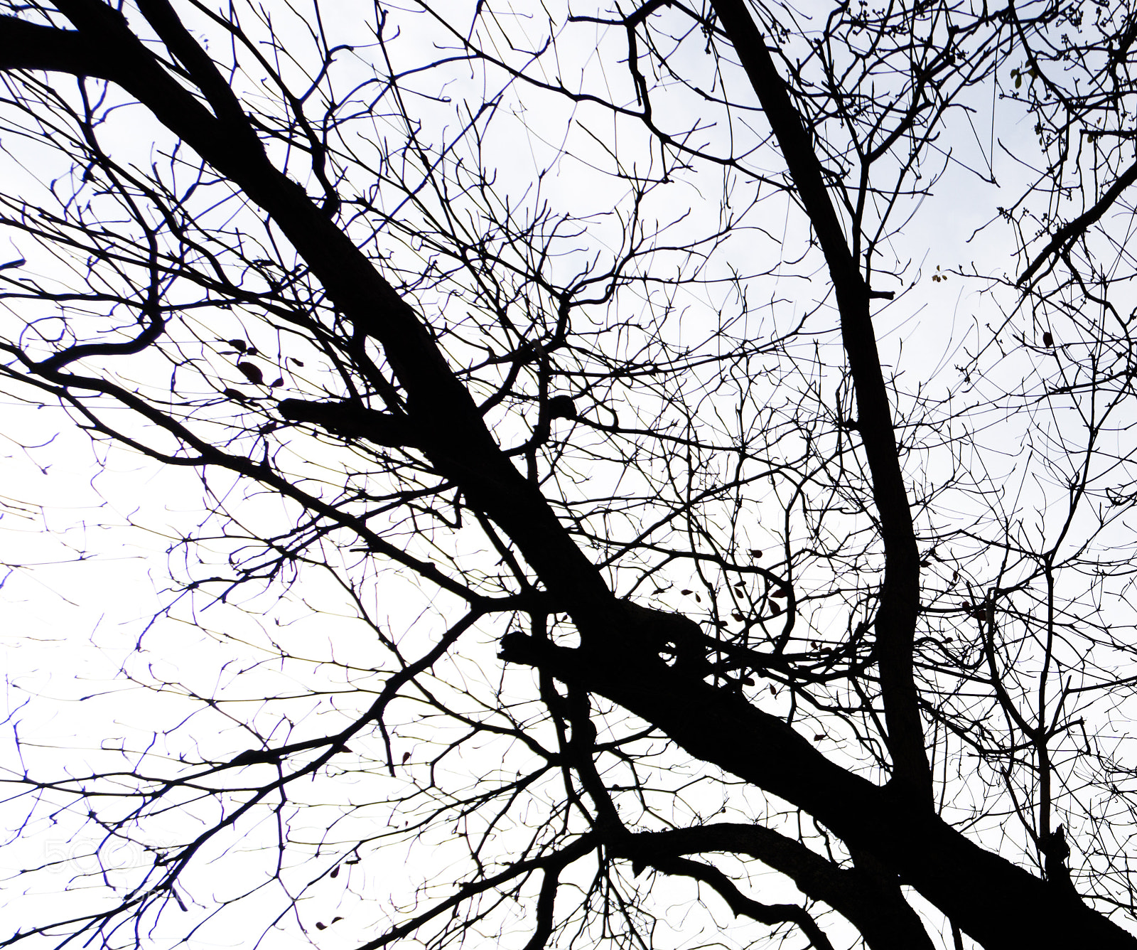 Sony a6000 sample photo. Serenity photography