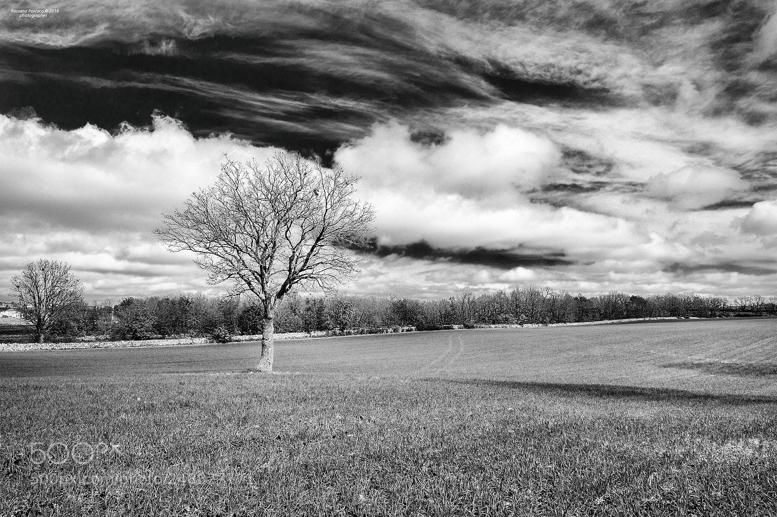 Nikon D700 sample photo. Il percorso photographer rossano photography