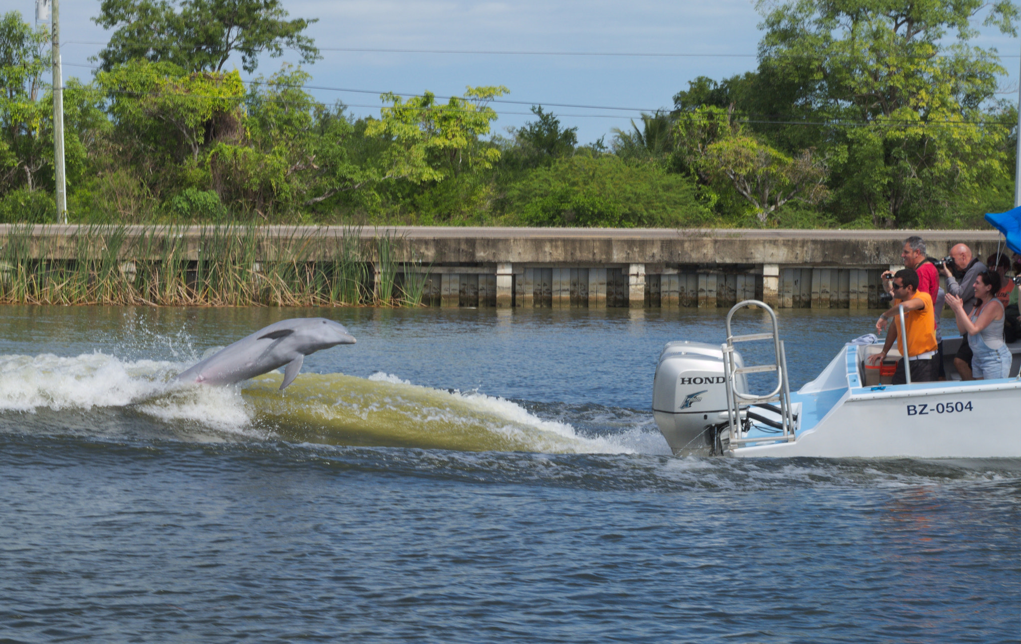 Pentax K-S2 sample photo. Surf on the river photography