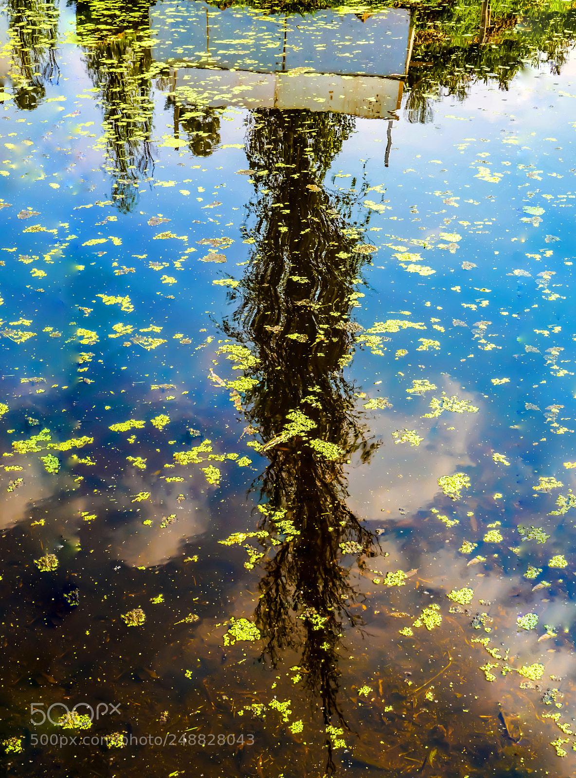 Sony a6000 sample photo. Los reflejos son tan photography