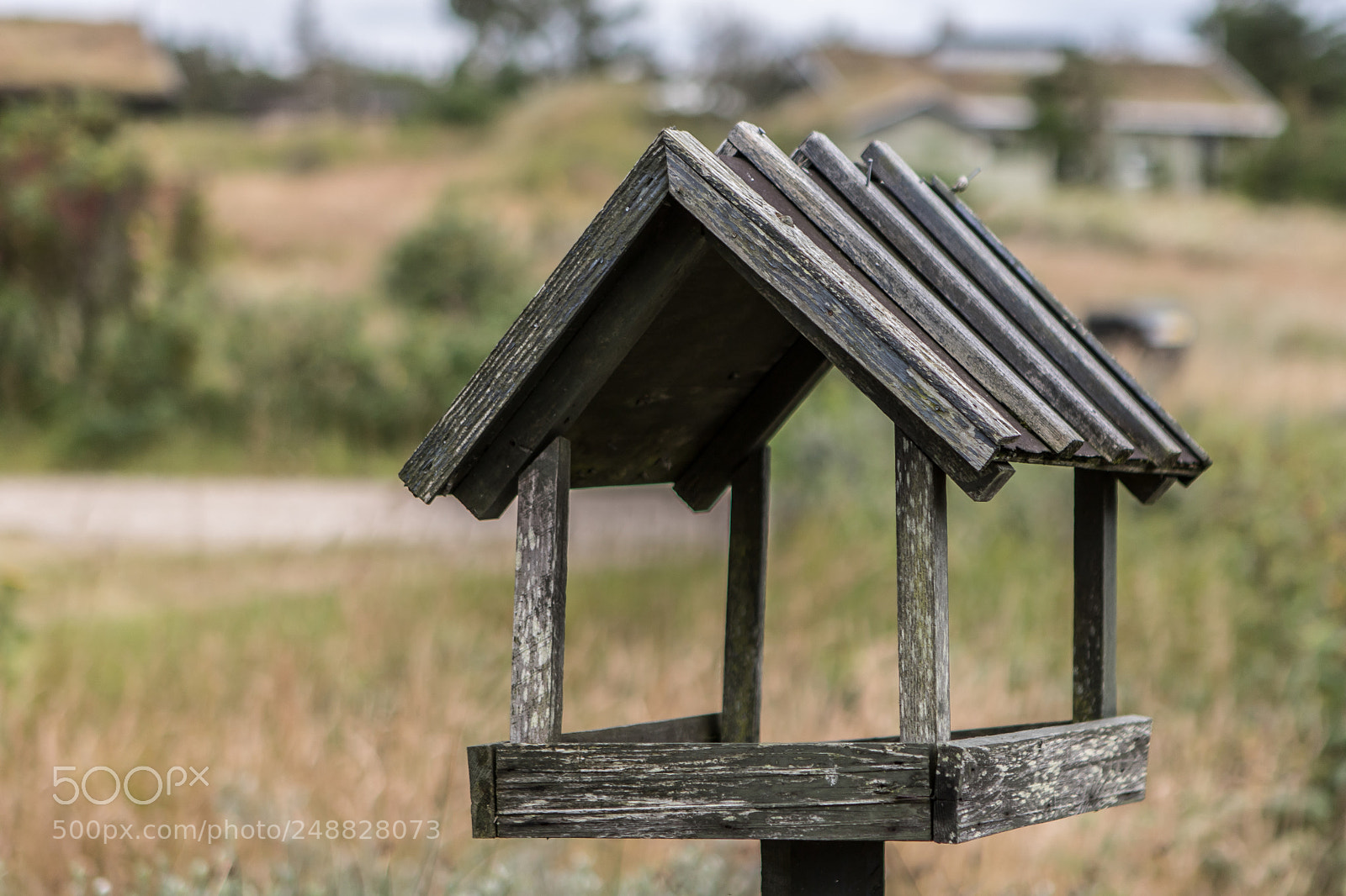 Canon EOS 750D (EOS Rebel T6i / EOS Kiss X8i) sample photo. Abandoned birdhuose photography