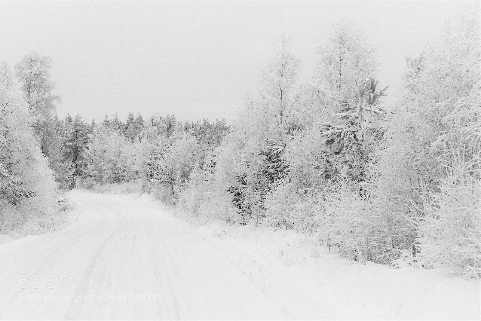 Pentax K-1 sample photo. White curve photography