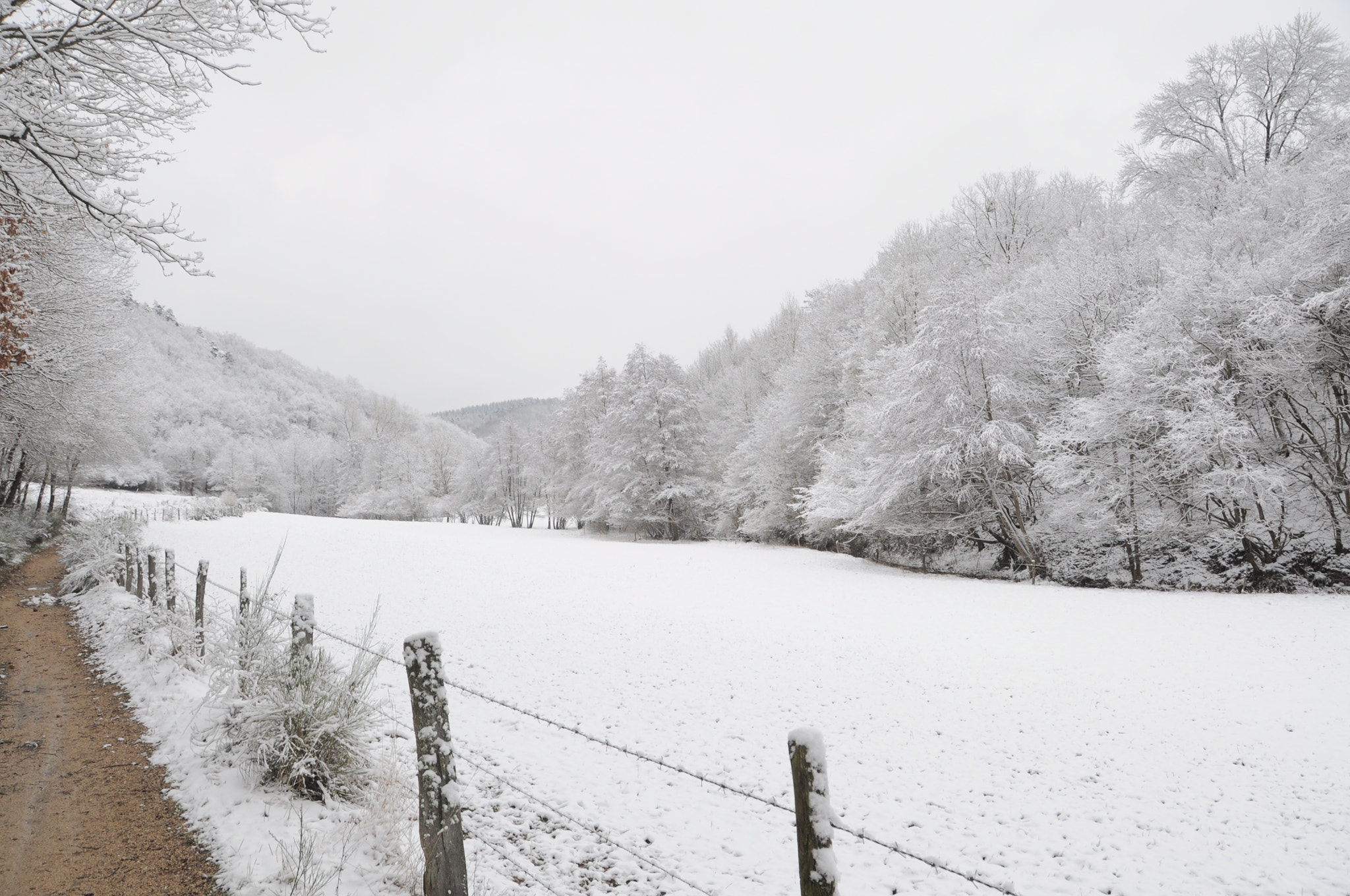Nikon D5000 sample photo. Snow photography