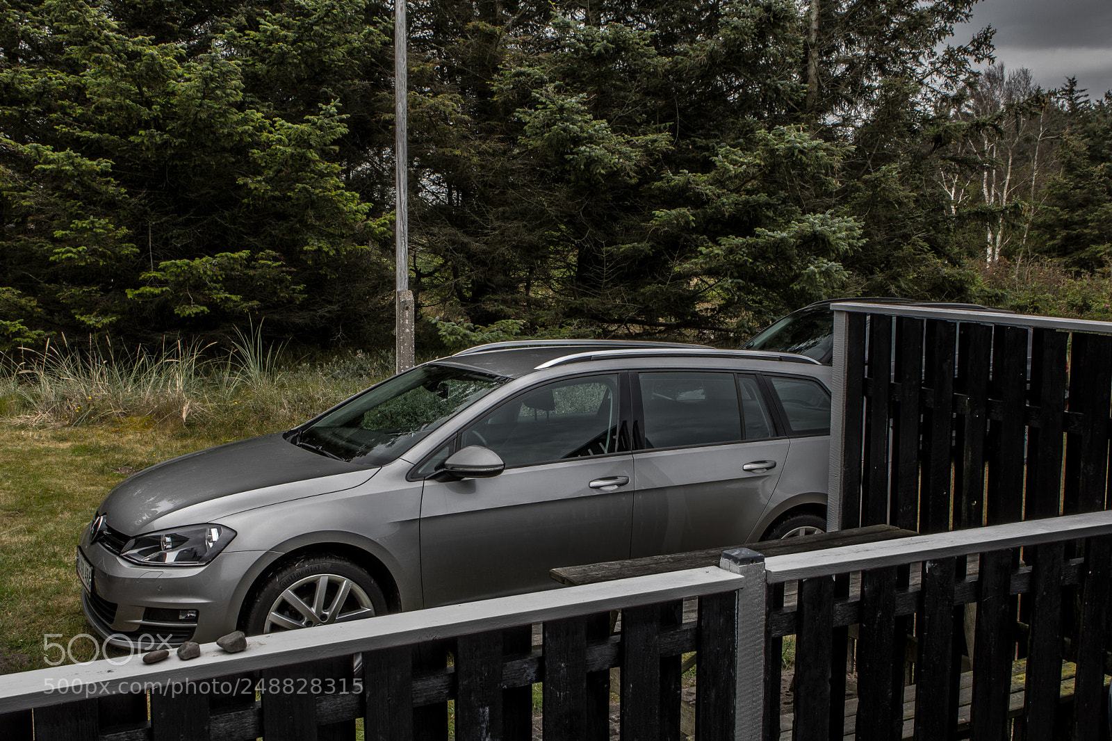 Canon EOS 750D (EOS Rebel T6i / EOS Kiss X8i) sample photo. Hiding and ready photography