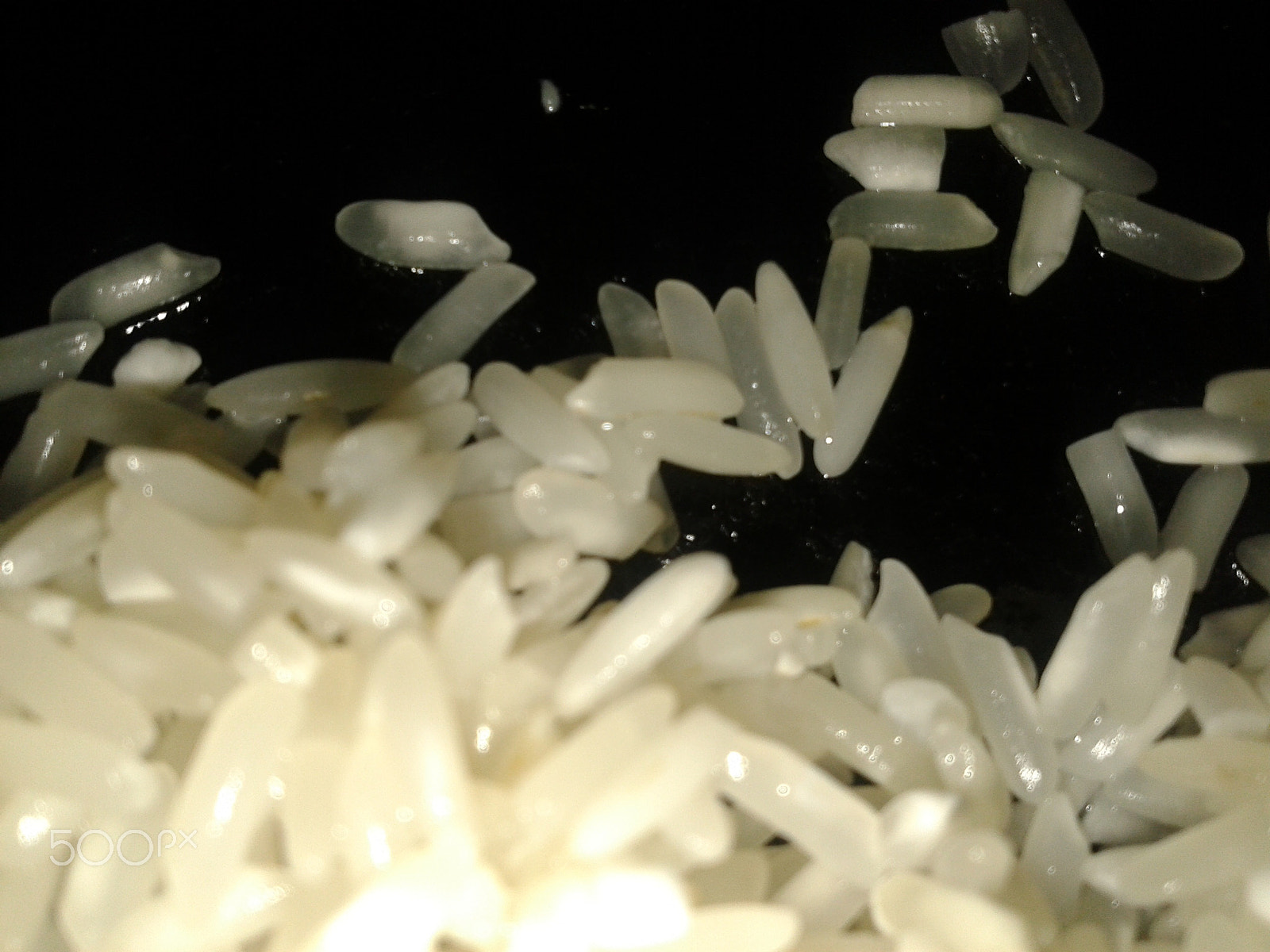 Samsung GT-S5610 sample photo. Rice / рис photography