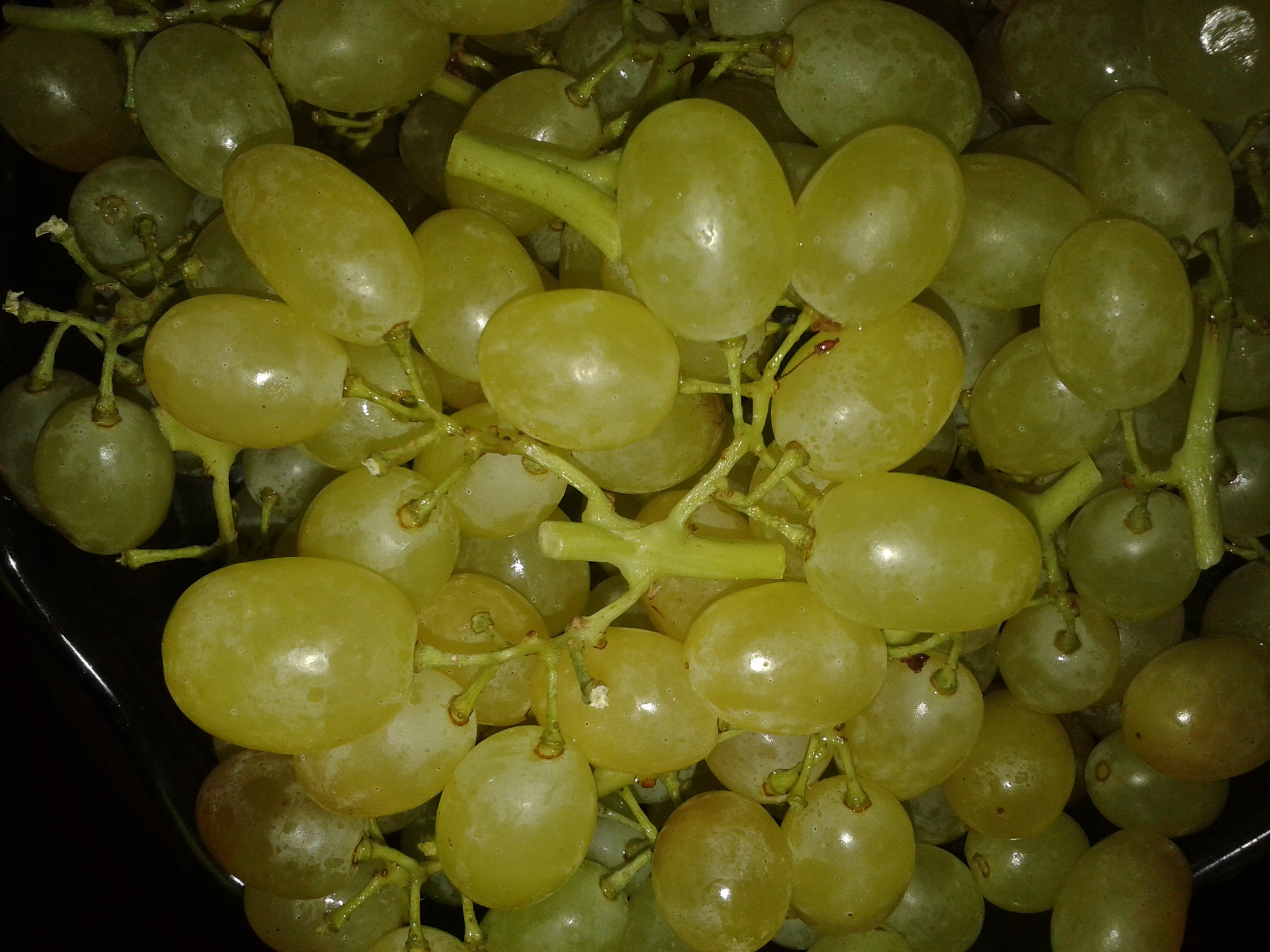 Samsung GT-S5610 sample photo. Grapes / виноград photography