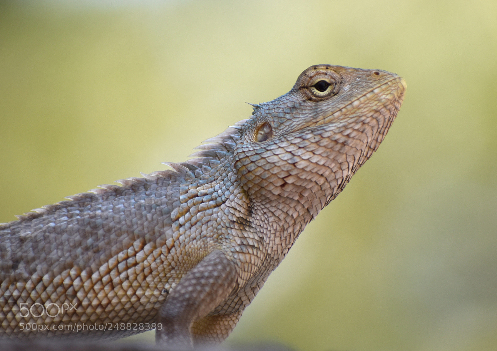Nikon D5600 sample photo. Dsc photography