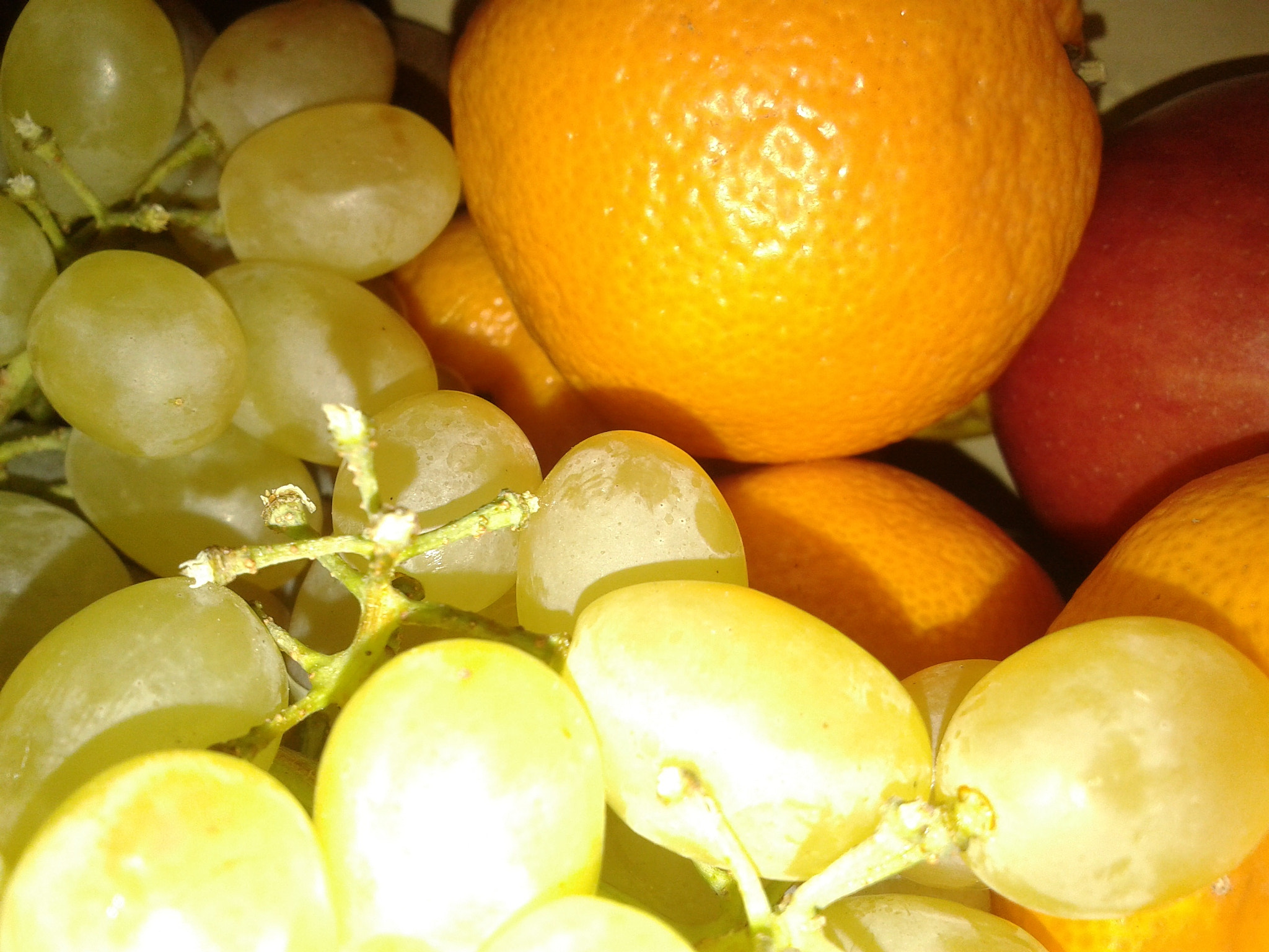 Samsung GT-S5610 sample photo. Grapes and mandarins / виноград и мандарины photography