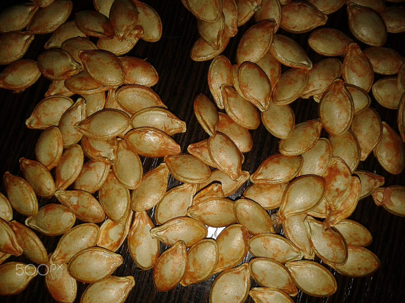 Samsung GT-S5610 sample photo. Pumpkin seeds / тыквенные семечки photography