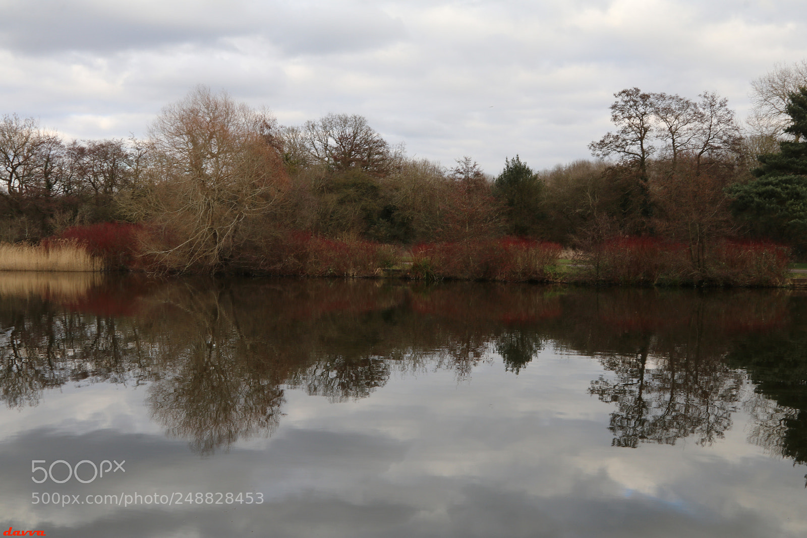 Canon EOS 80D sample photo. Lake reflections photography
