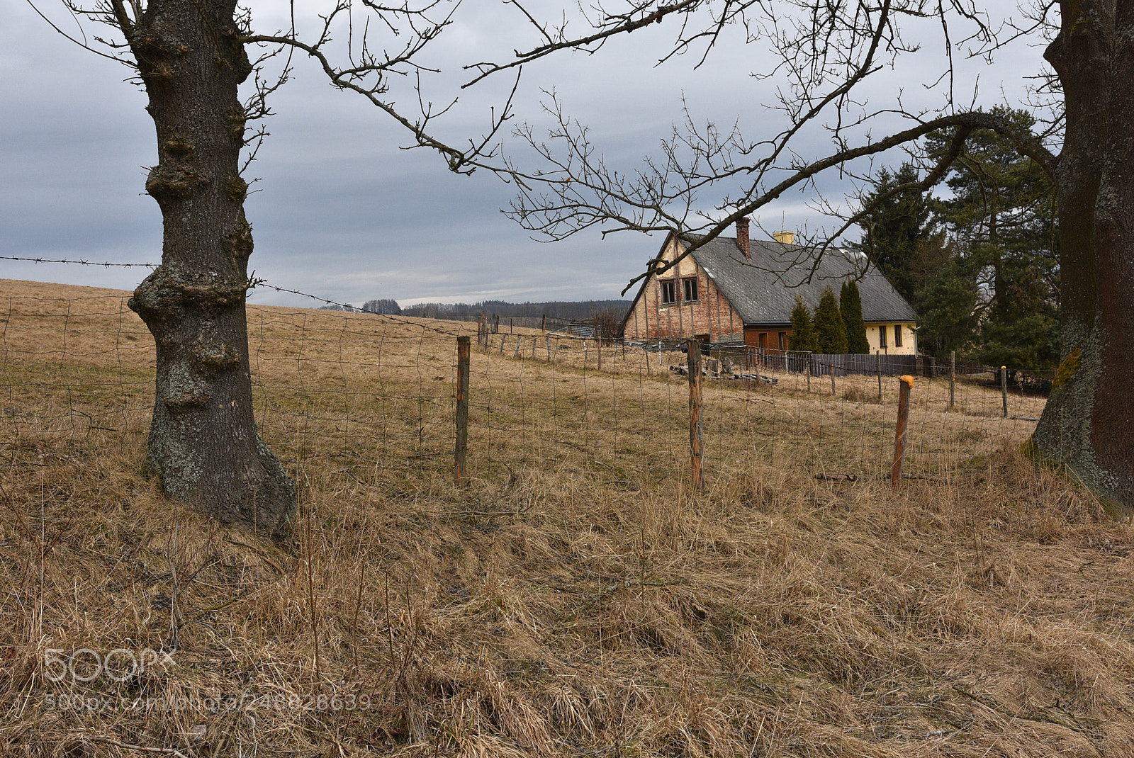 Nikon D7200 sample photo. Untitled photography
