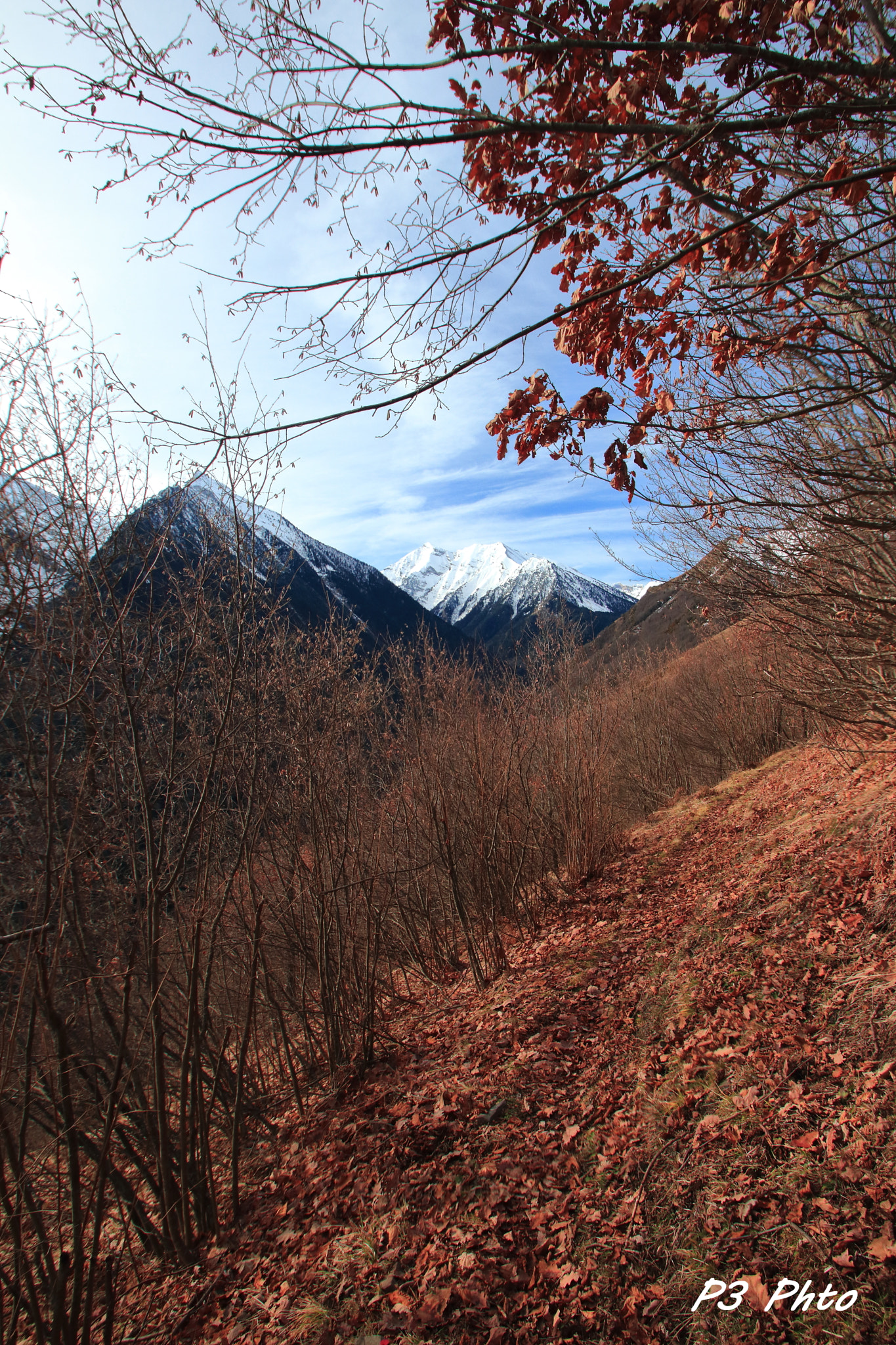 Sigma 10-20mm F3.5 EX DC HSM sample photo. Img photography