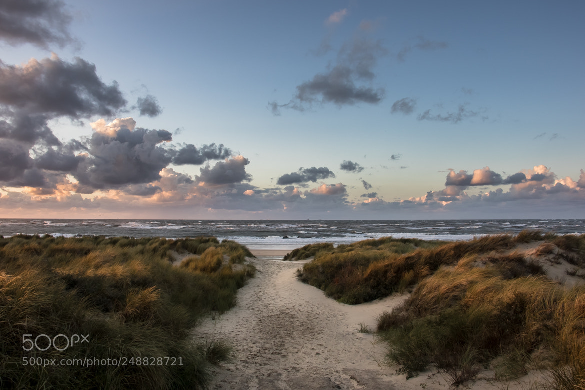 Canon EOS 7D Mark II sample photo. Dune path photography