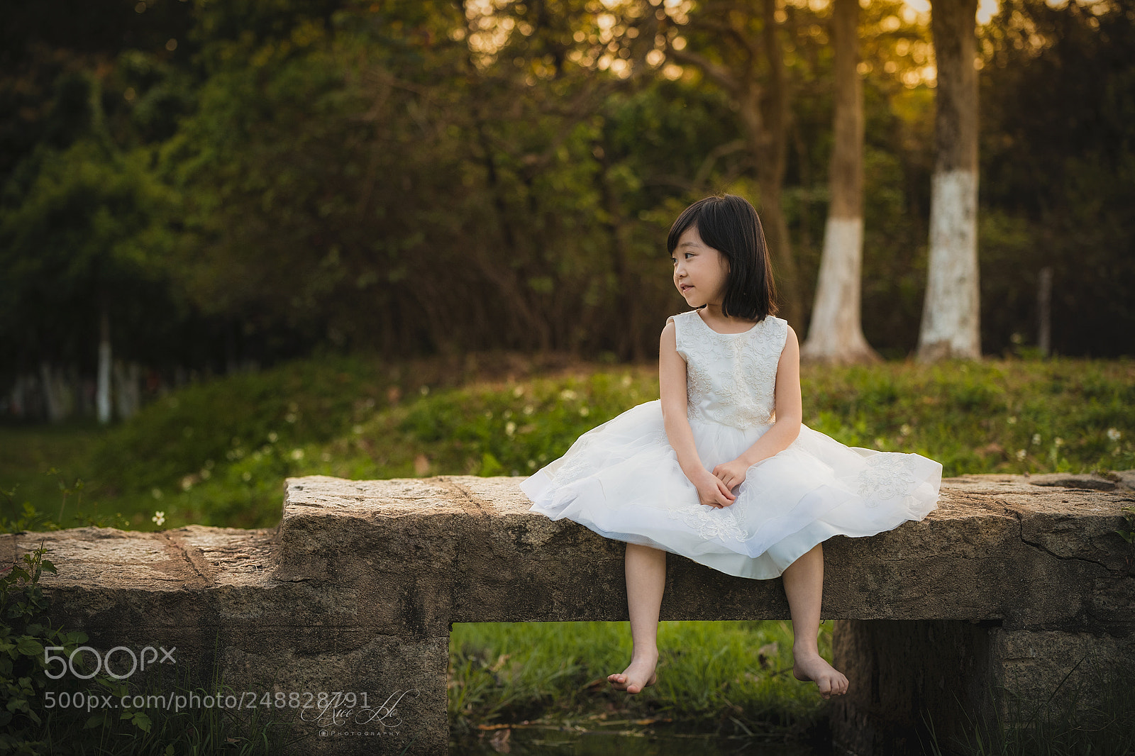 Nikon D850 sample photo. Where are you ? photography
