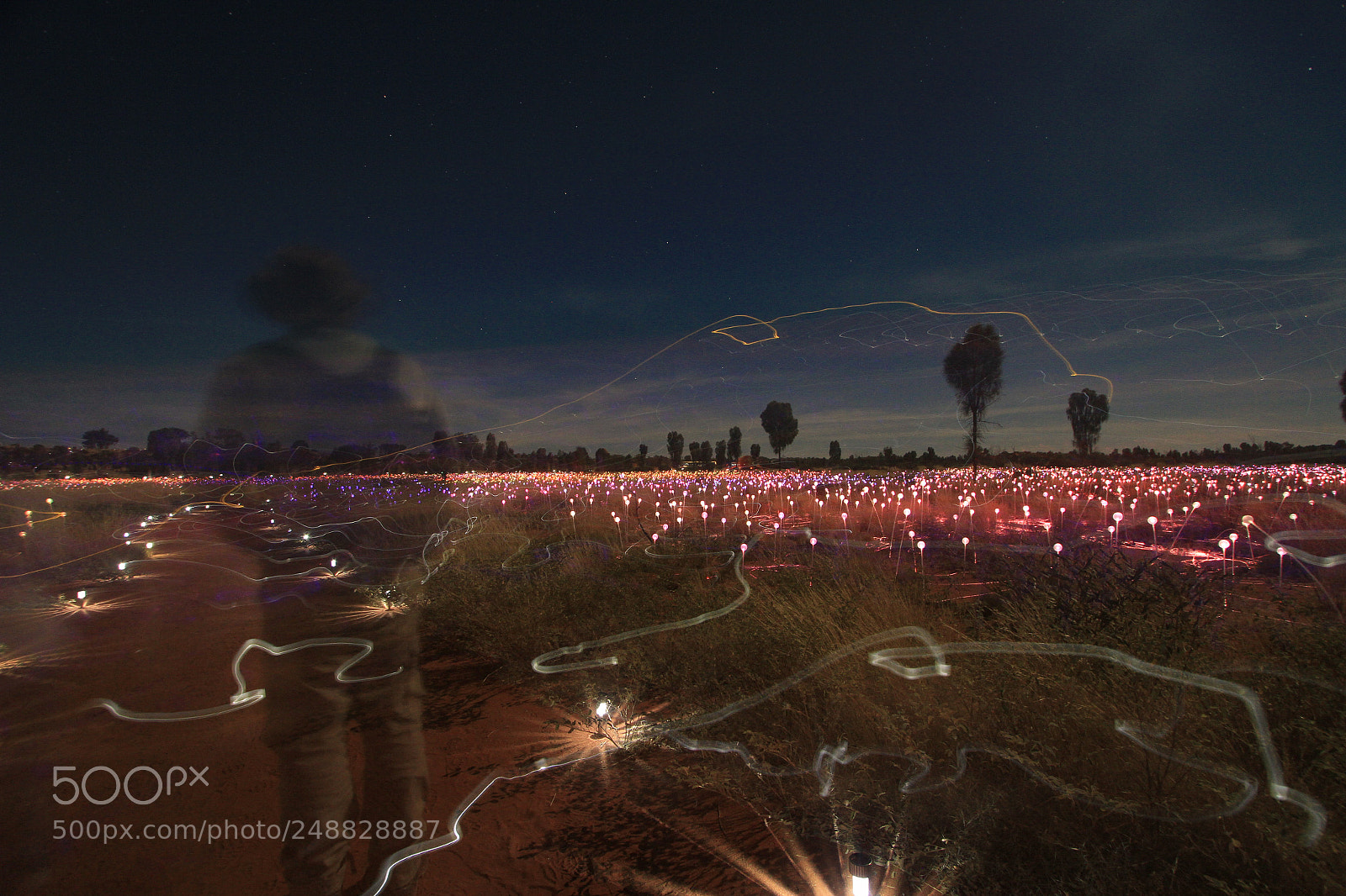 Canon EOS 7D sample photo. Field of lights photography