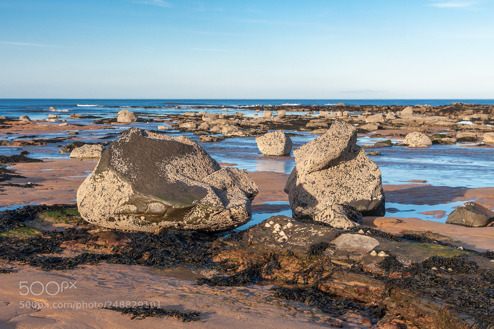 Canon EOS 40D sample photo. Rocks at sugar sands photography
